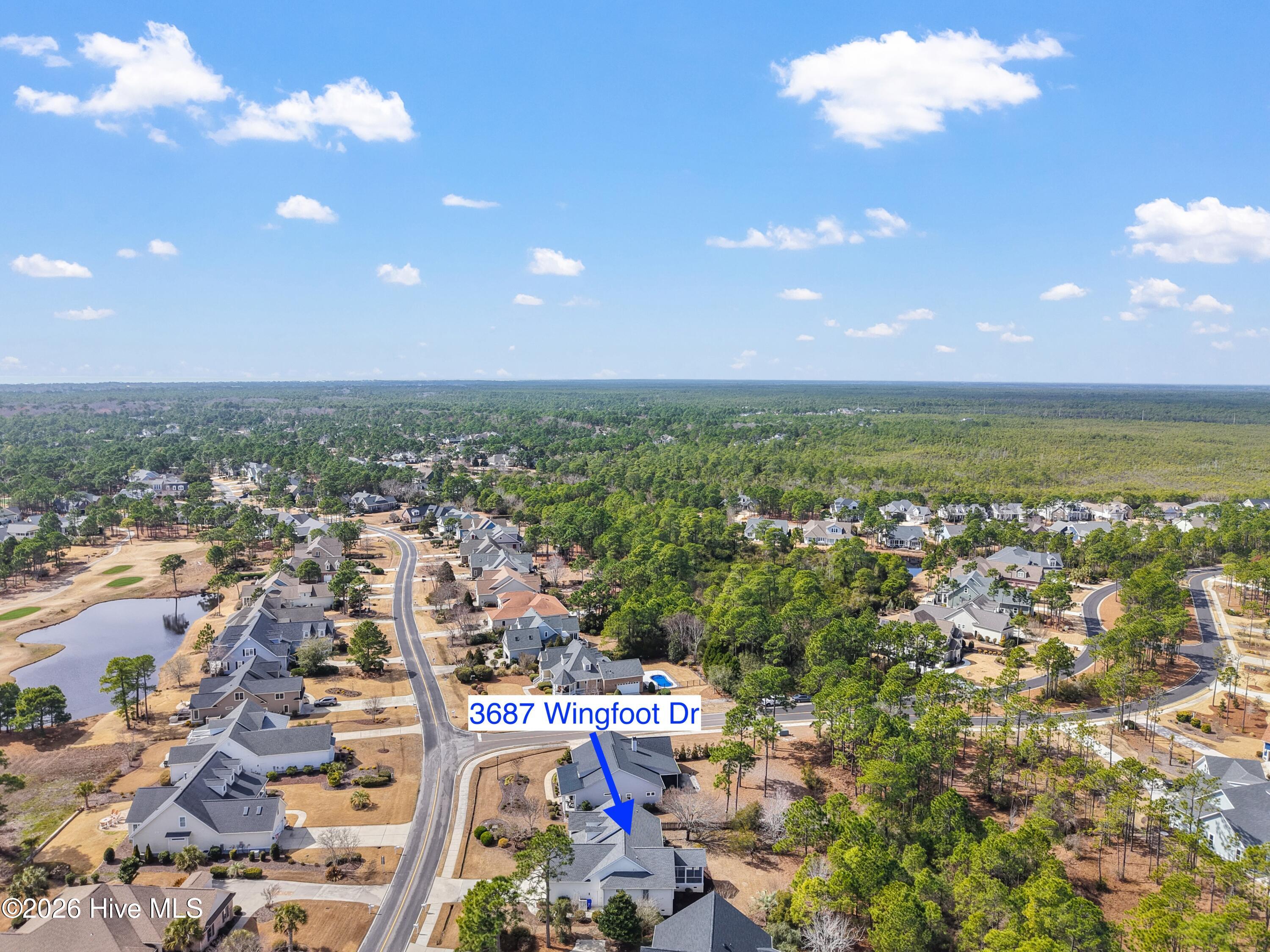 100561383 | Photo 47