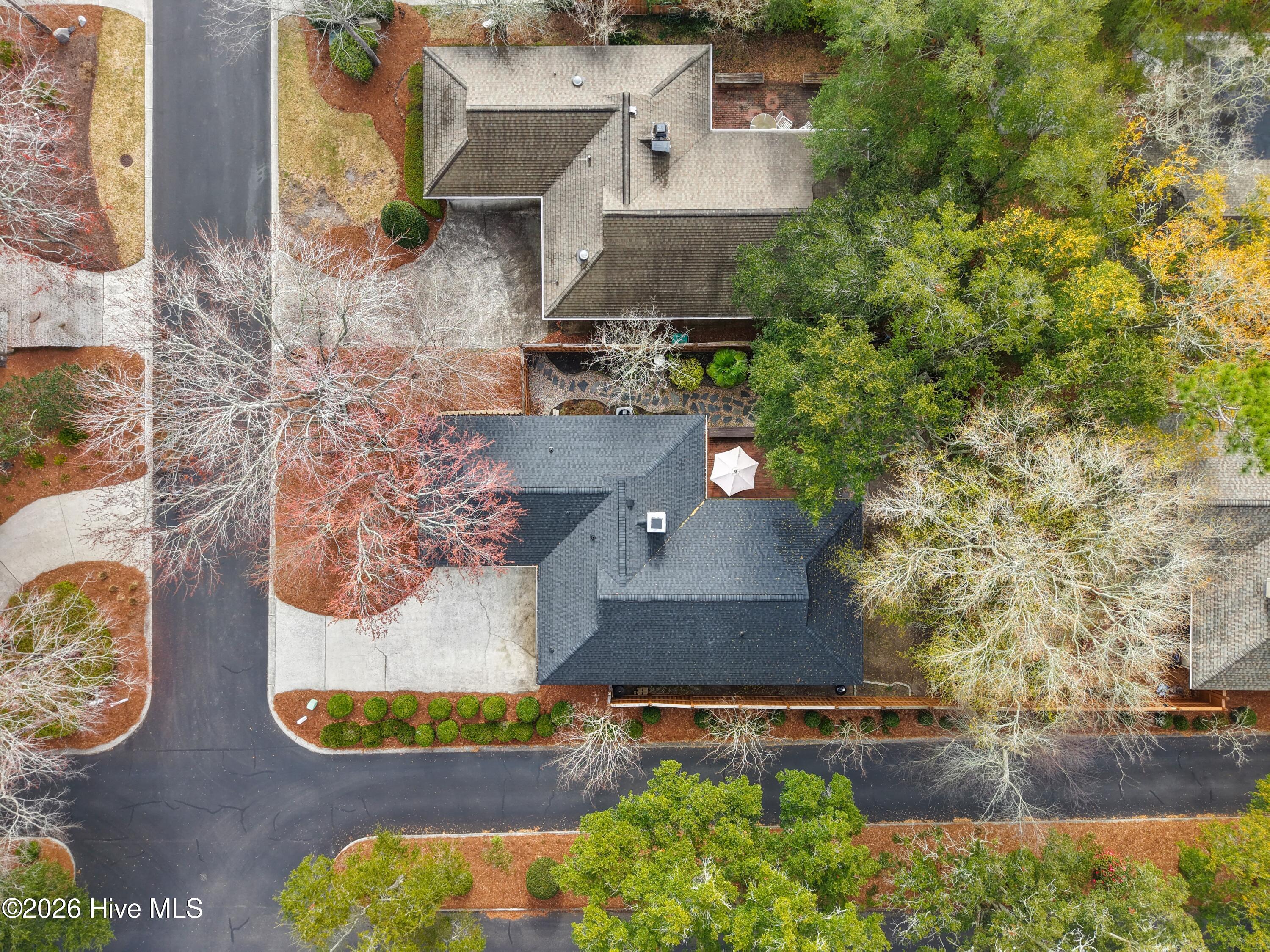 100558002 | Photo 46