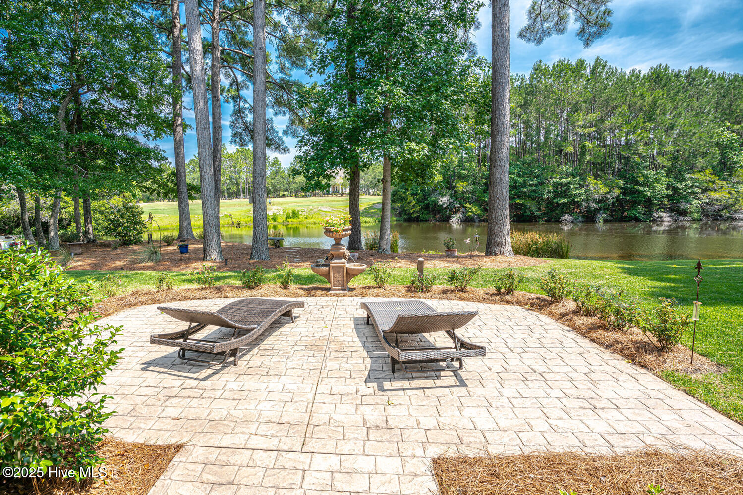 100514685 | Photo 66