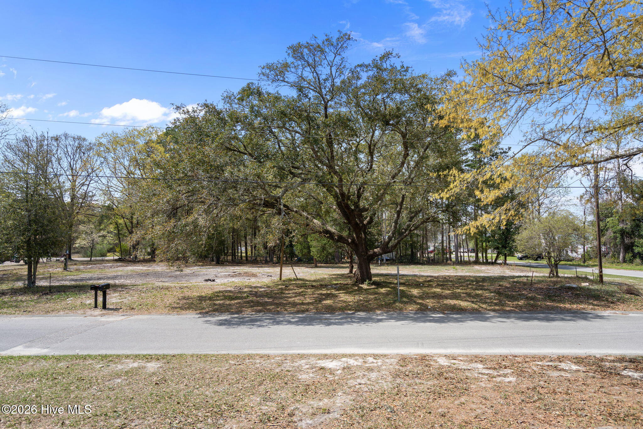 100565348 | Photo 16