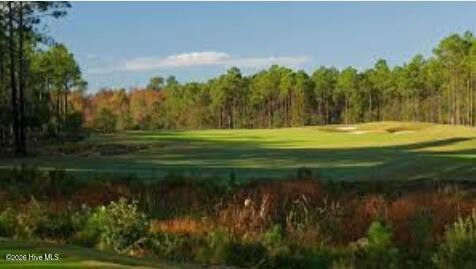 100563923 | Photo 31