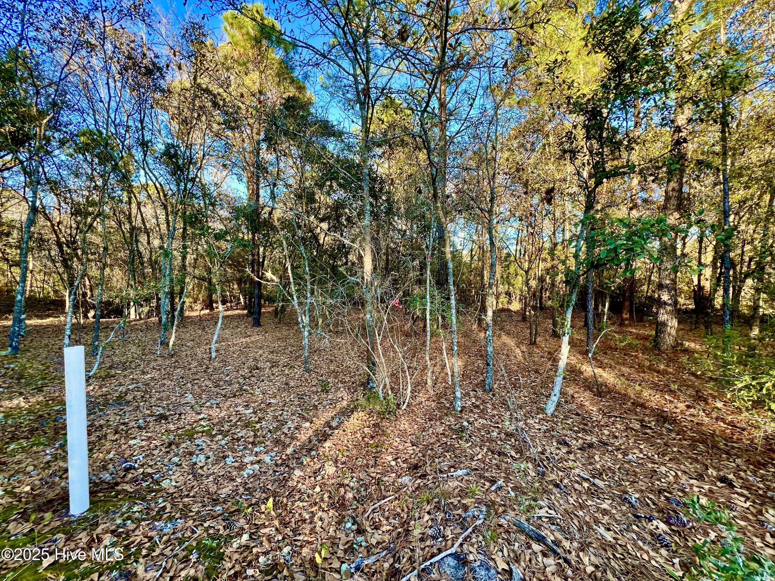 100536501 | Photo 15