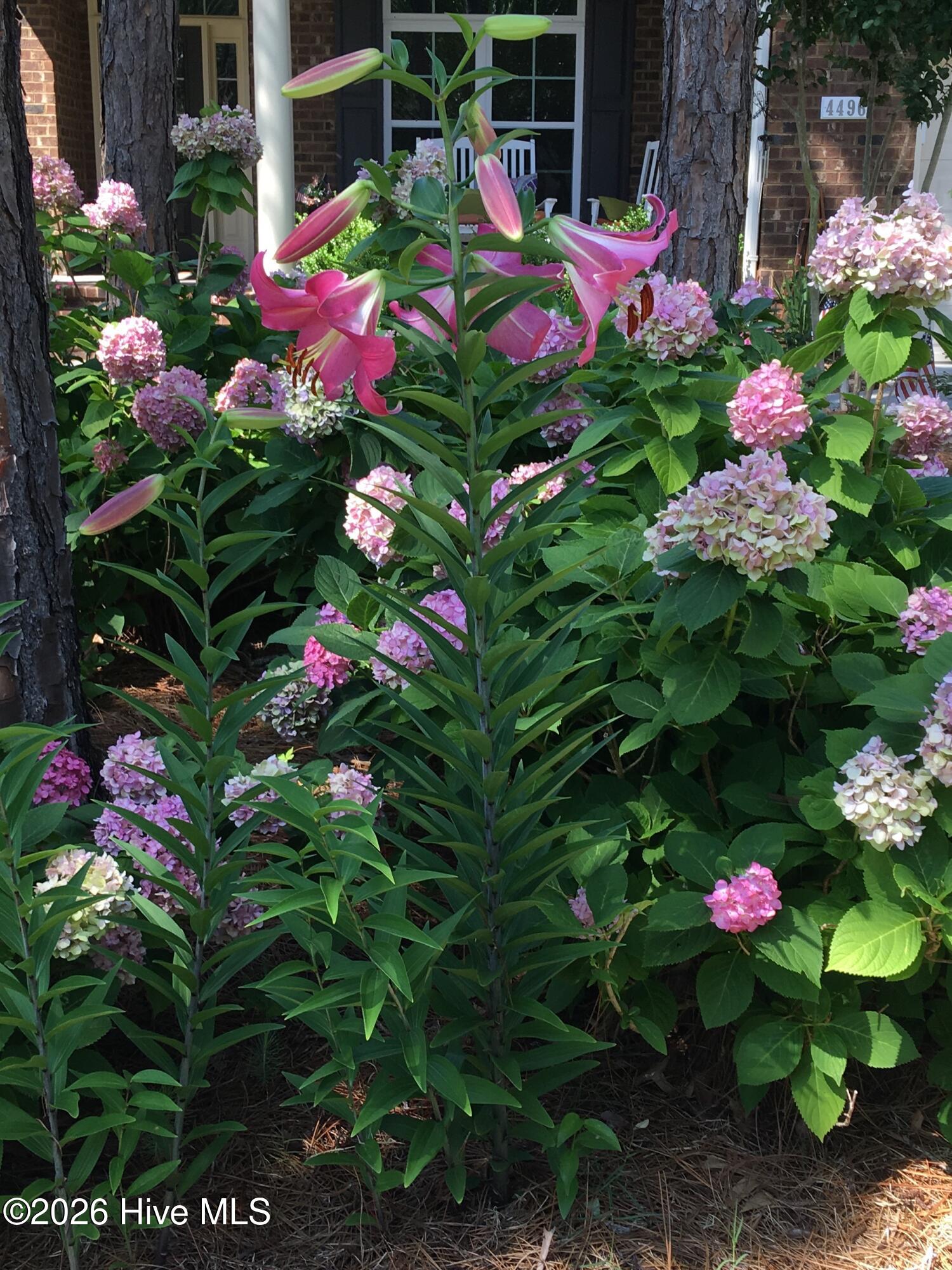 100556407 | Photo 85