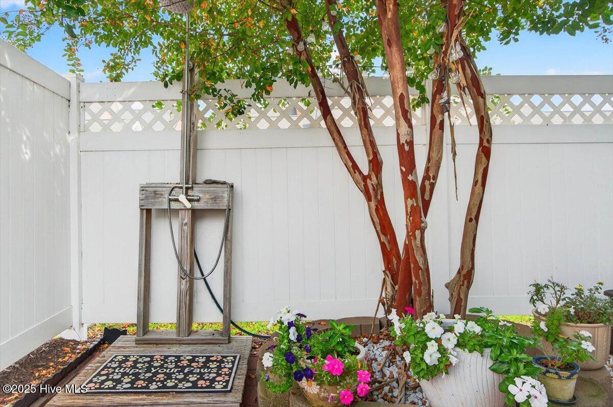 100559961 | Photo 30