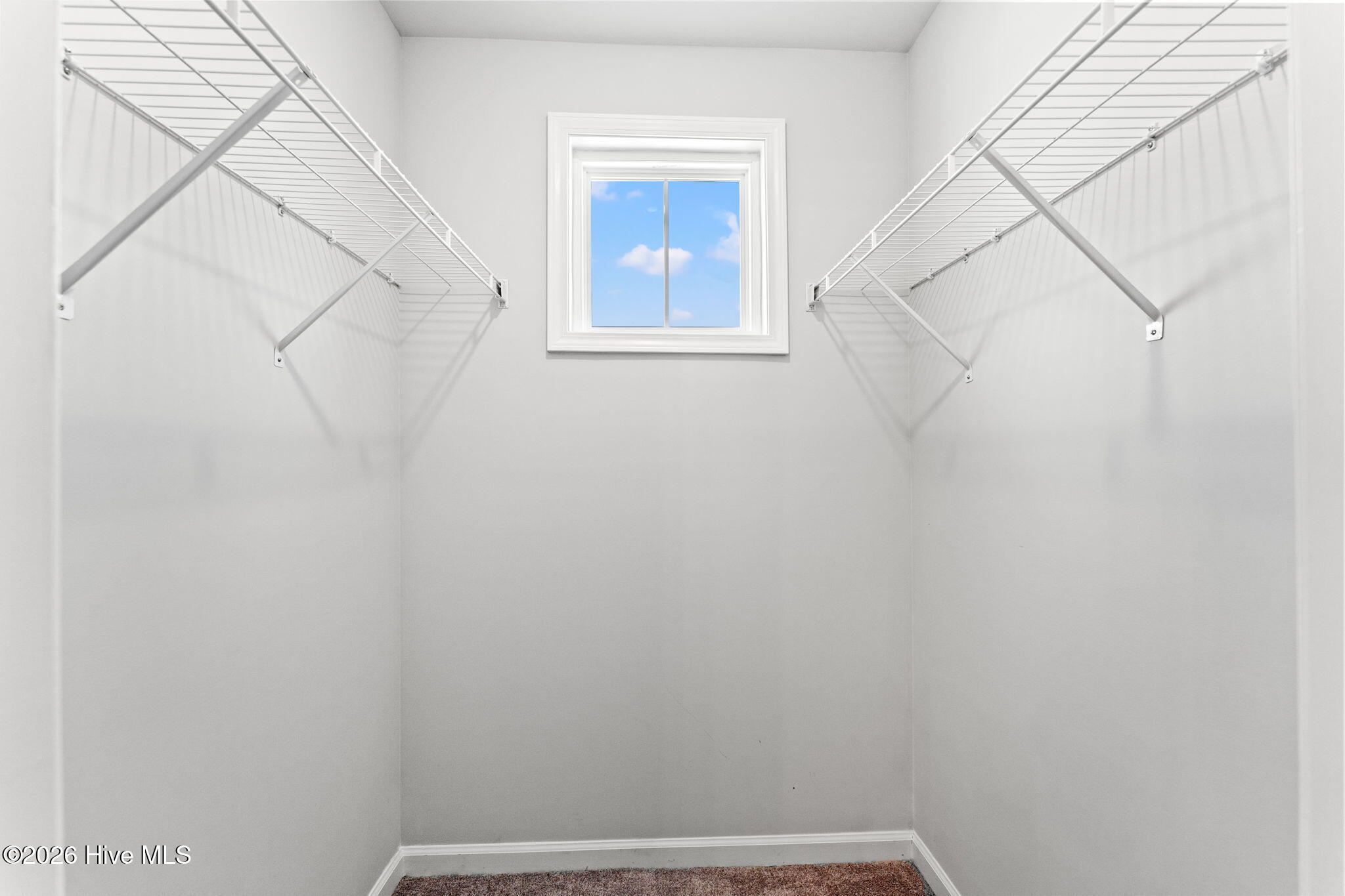 100566153 | Photo 31