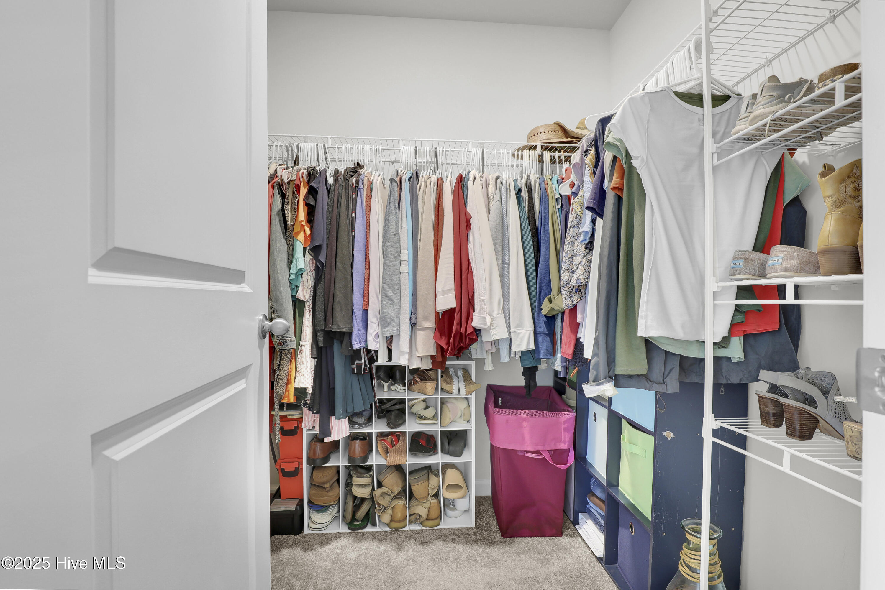 100536874 | Photo 14