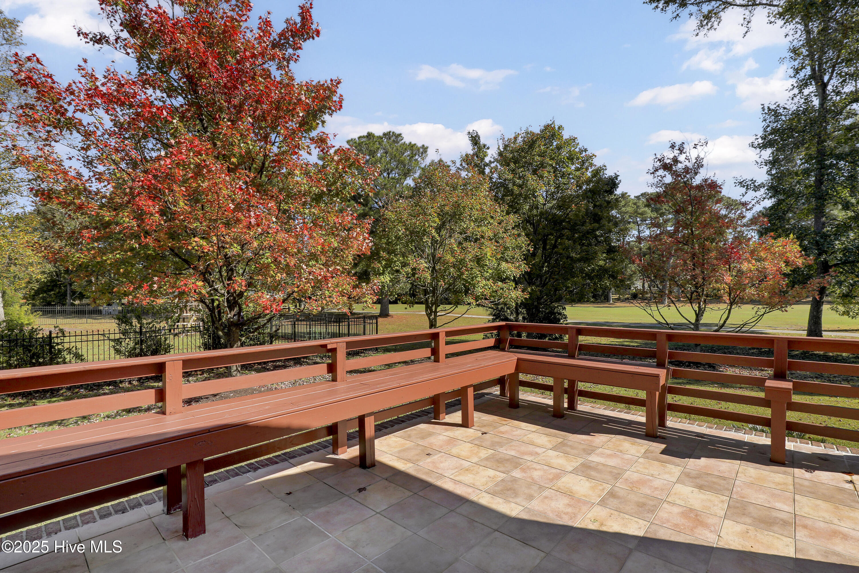 100539078 | Photo 25