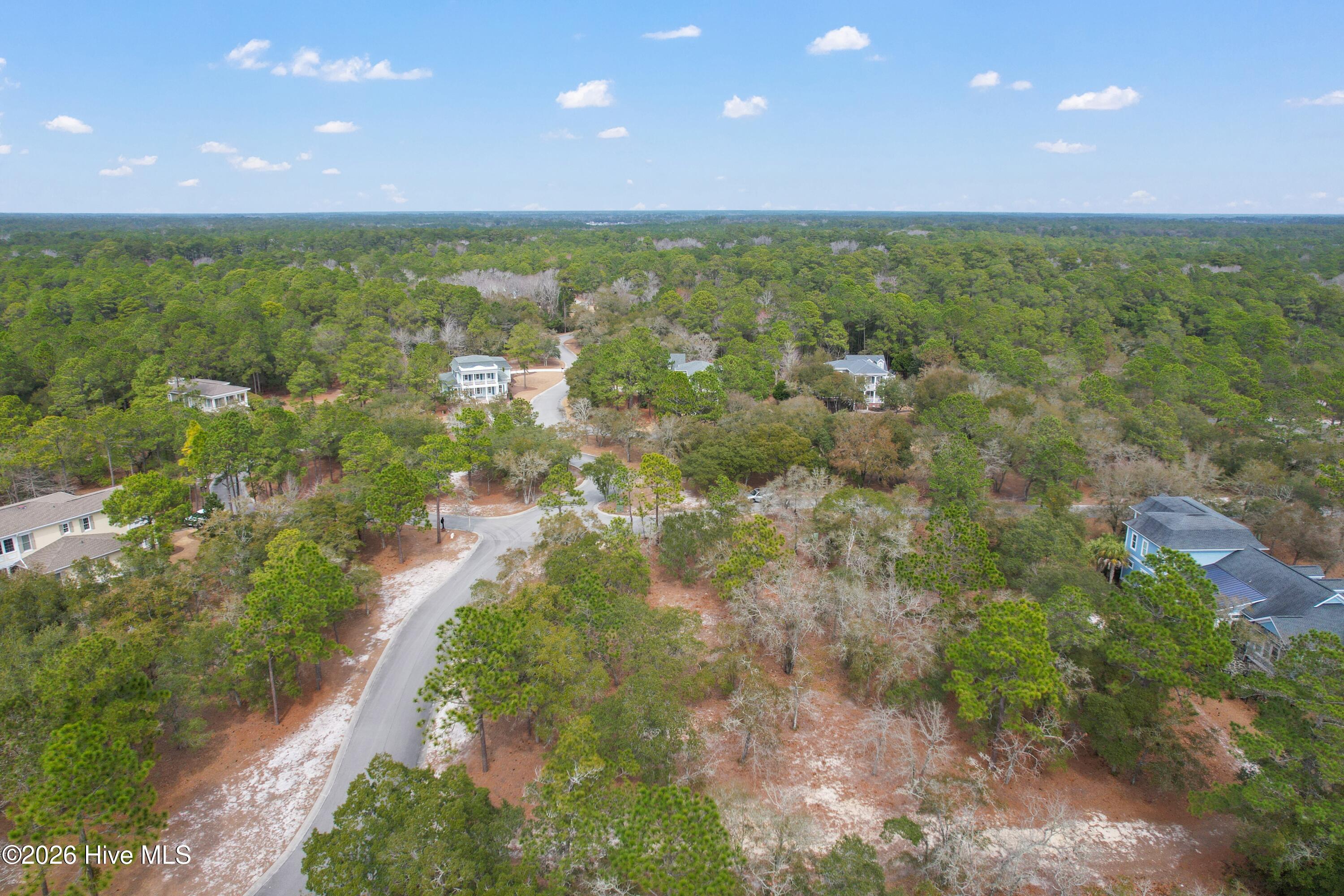 100548259 | Photo 16