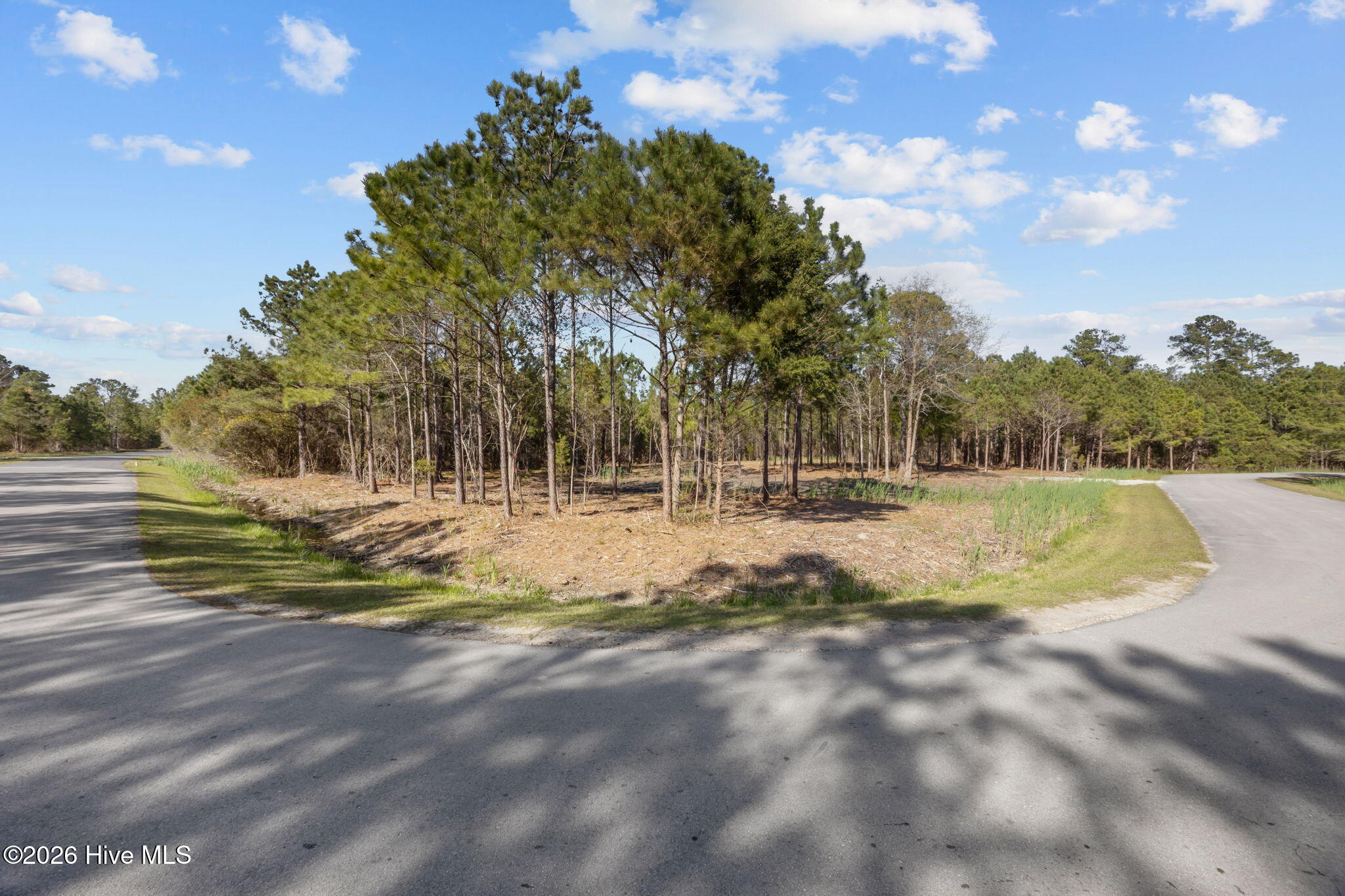 699 45 Vandemere Creek Drive,Vandemere