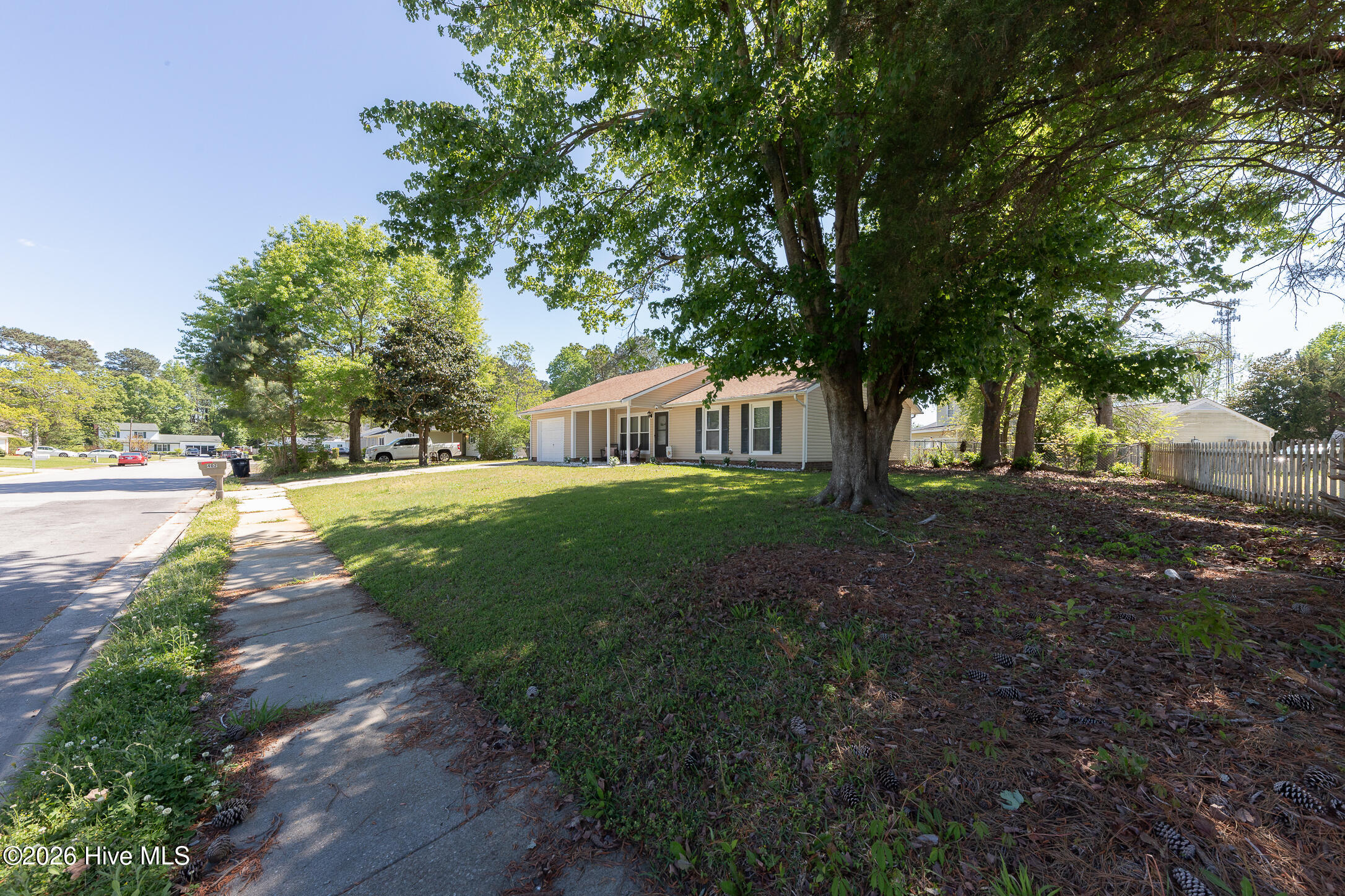 100566387 | Photo 49