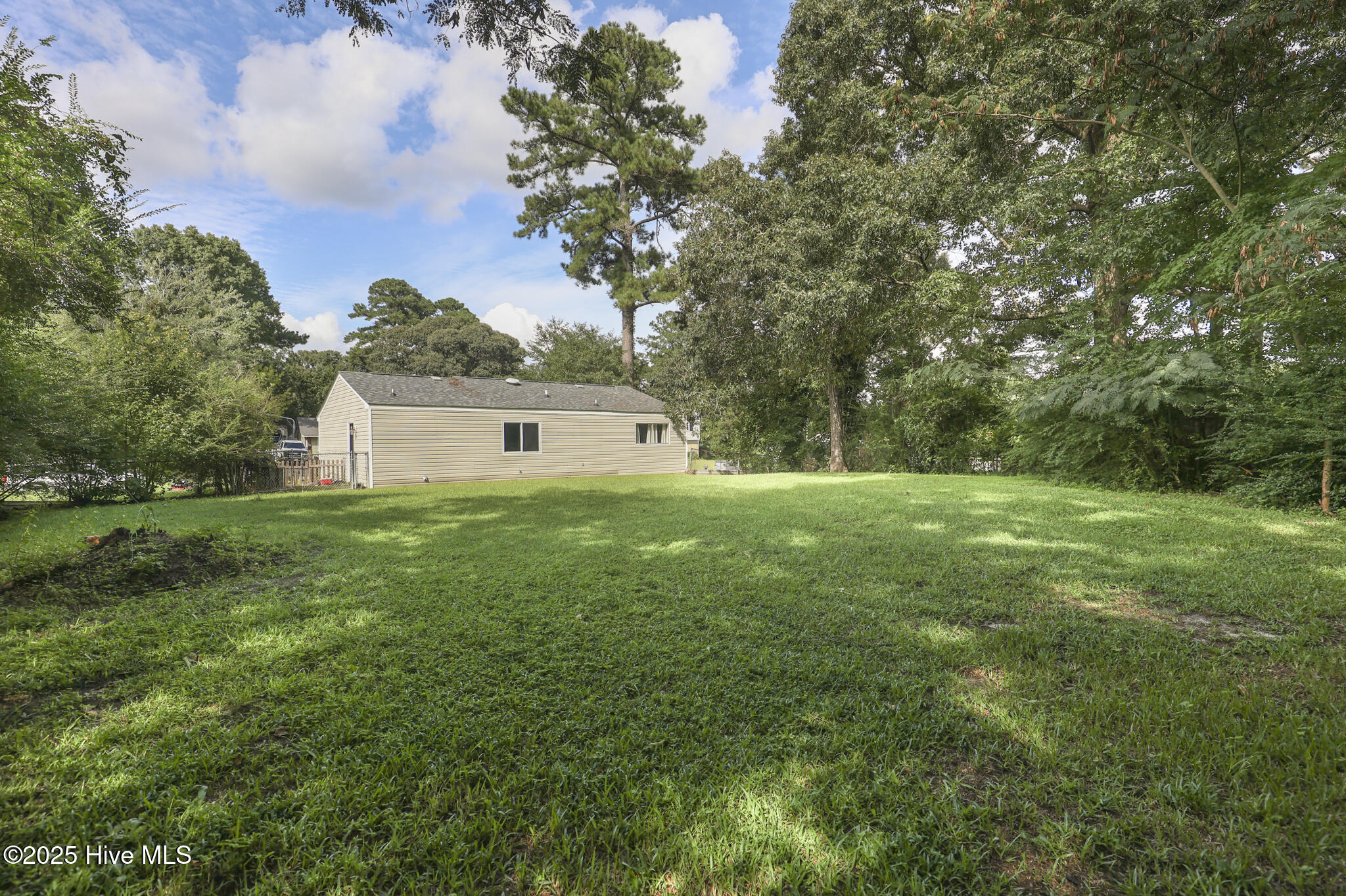 100527829 | Photo 23