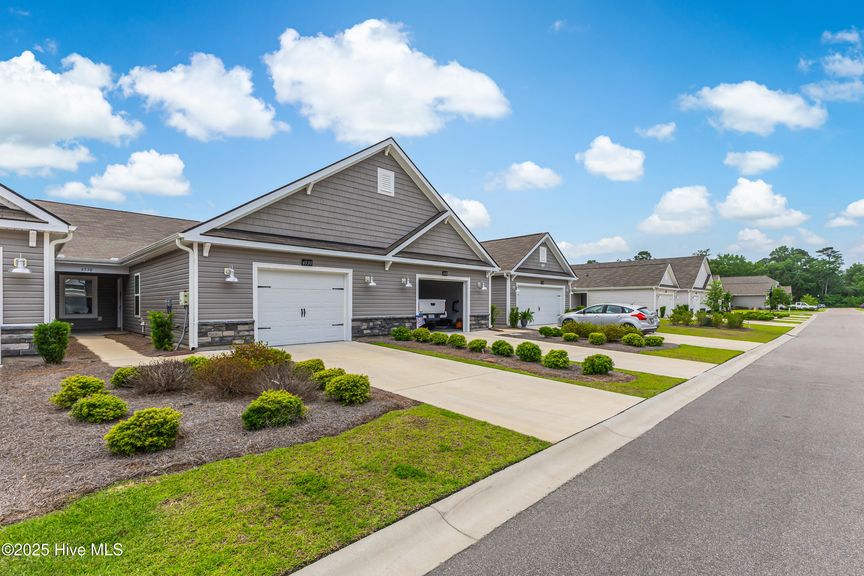 6530 Green Fennel-1-2