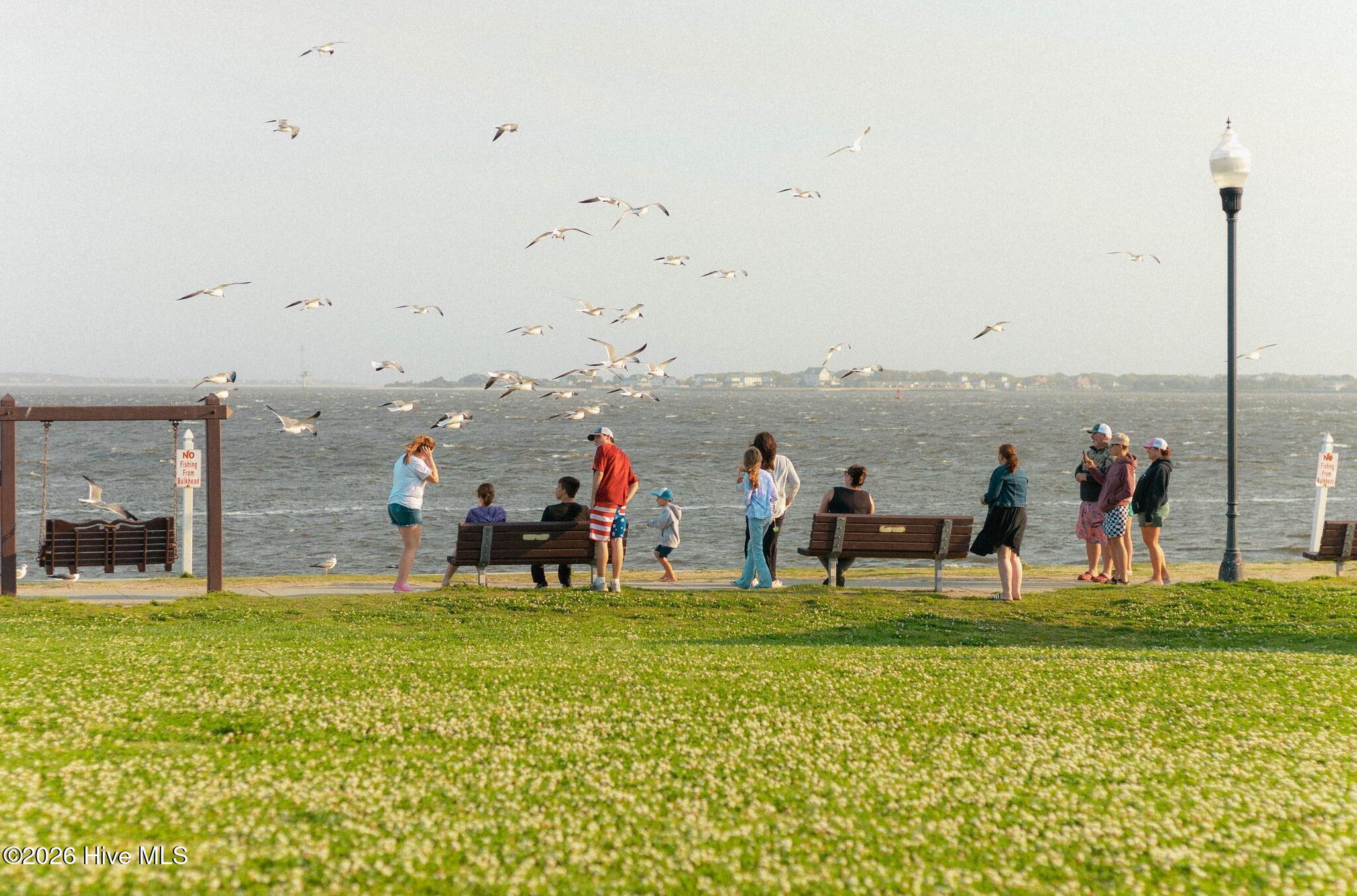 100547366 | Photo 61