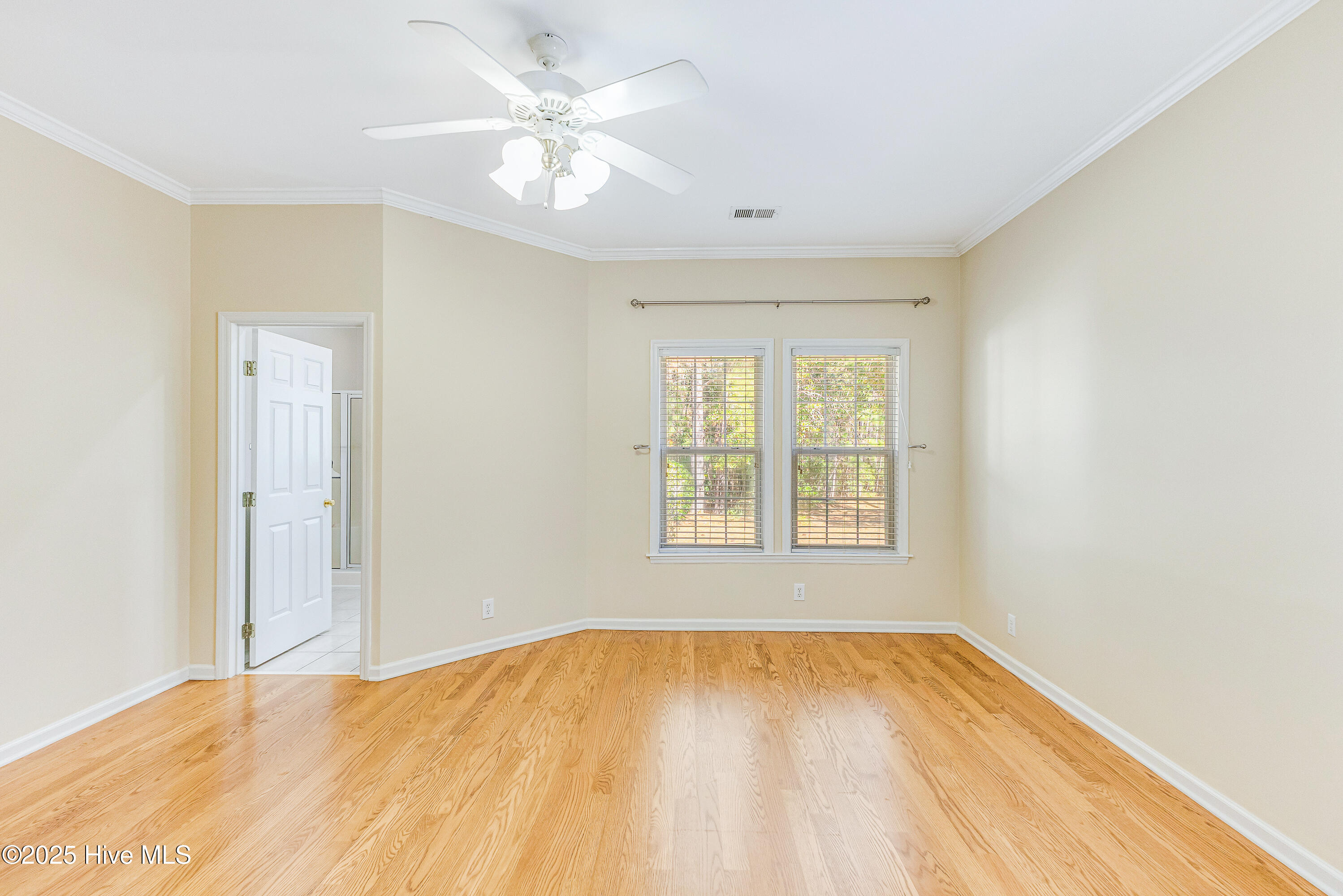 100540524 | Photo 11