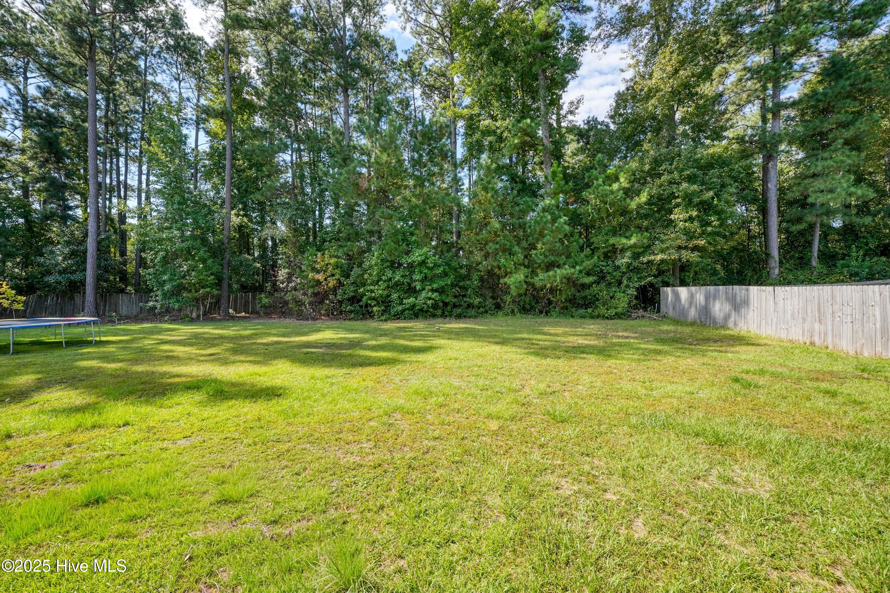 100532603 | Photo 25