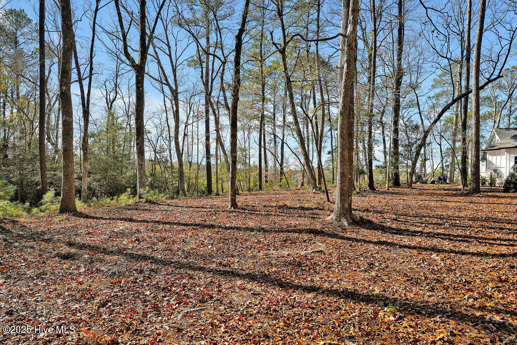 100482094 | Photo 12