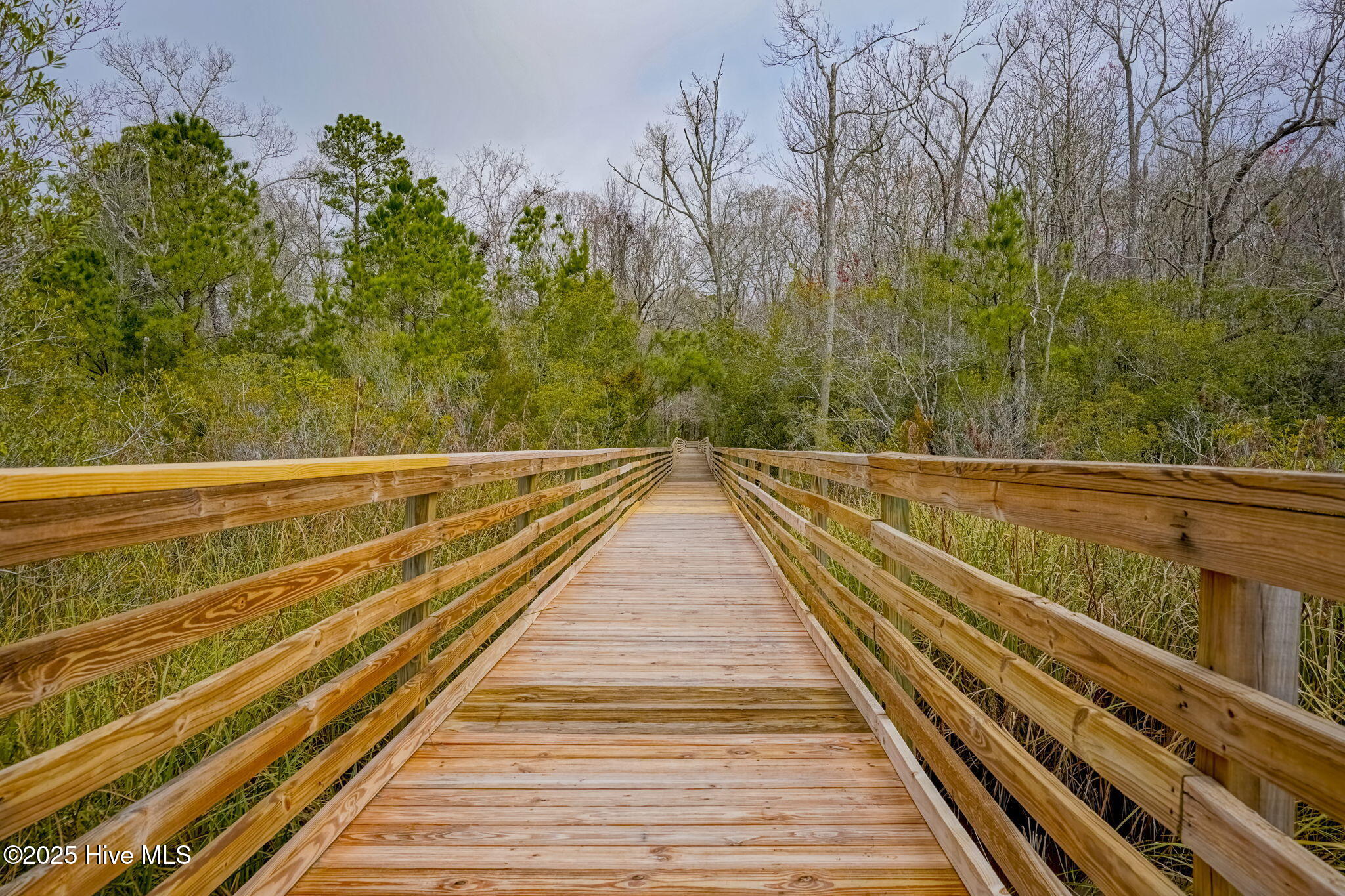 100546300 | Photo 53