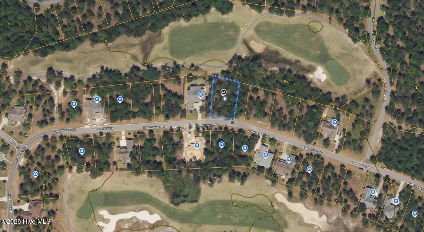 100568457 | Photo 12