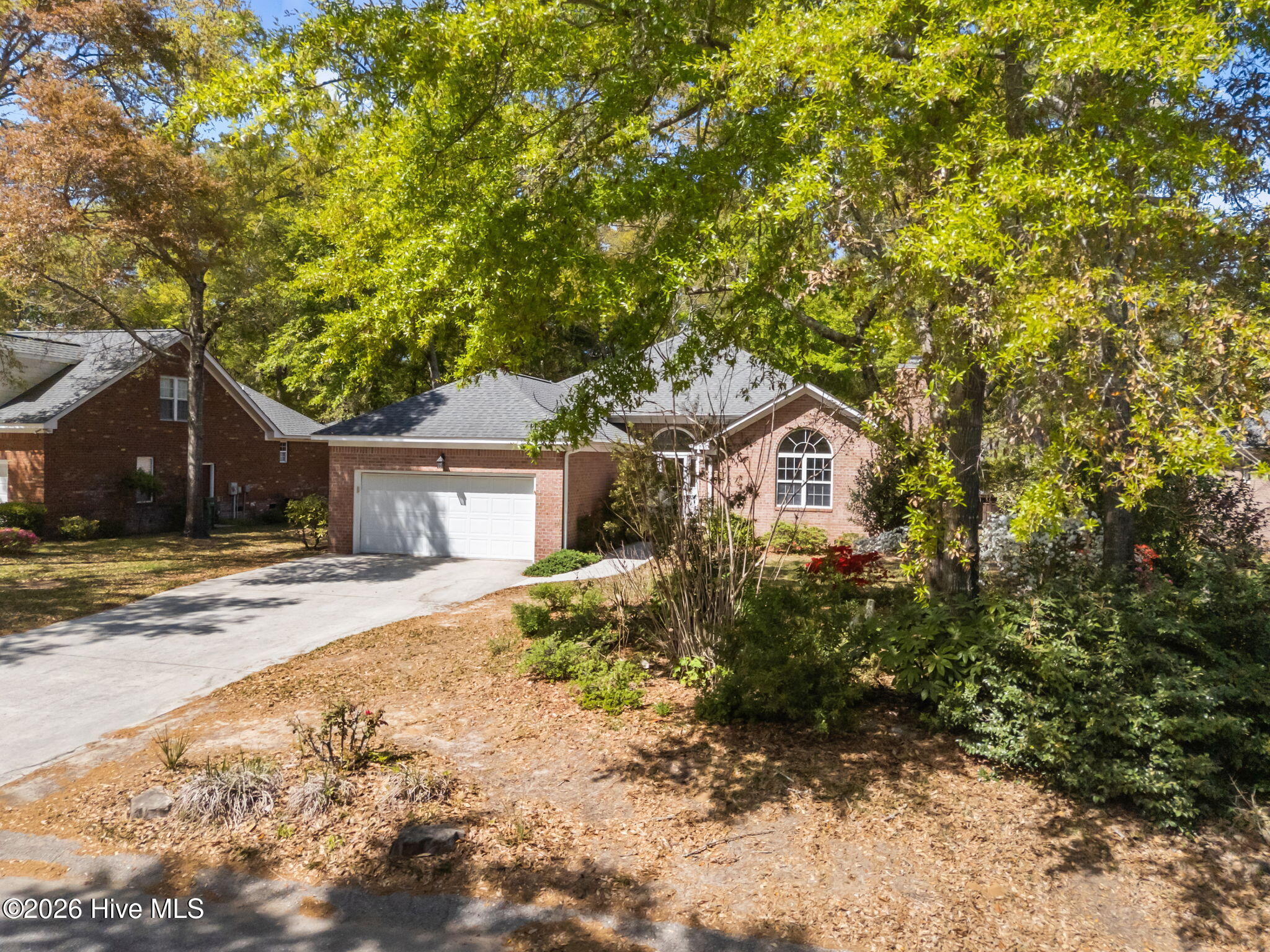 100565188 | Photo 41