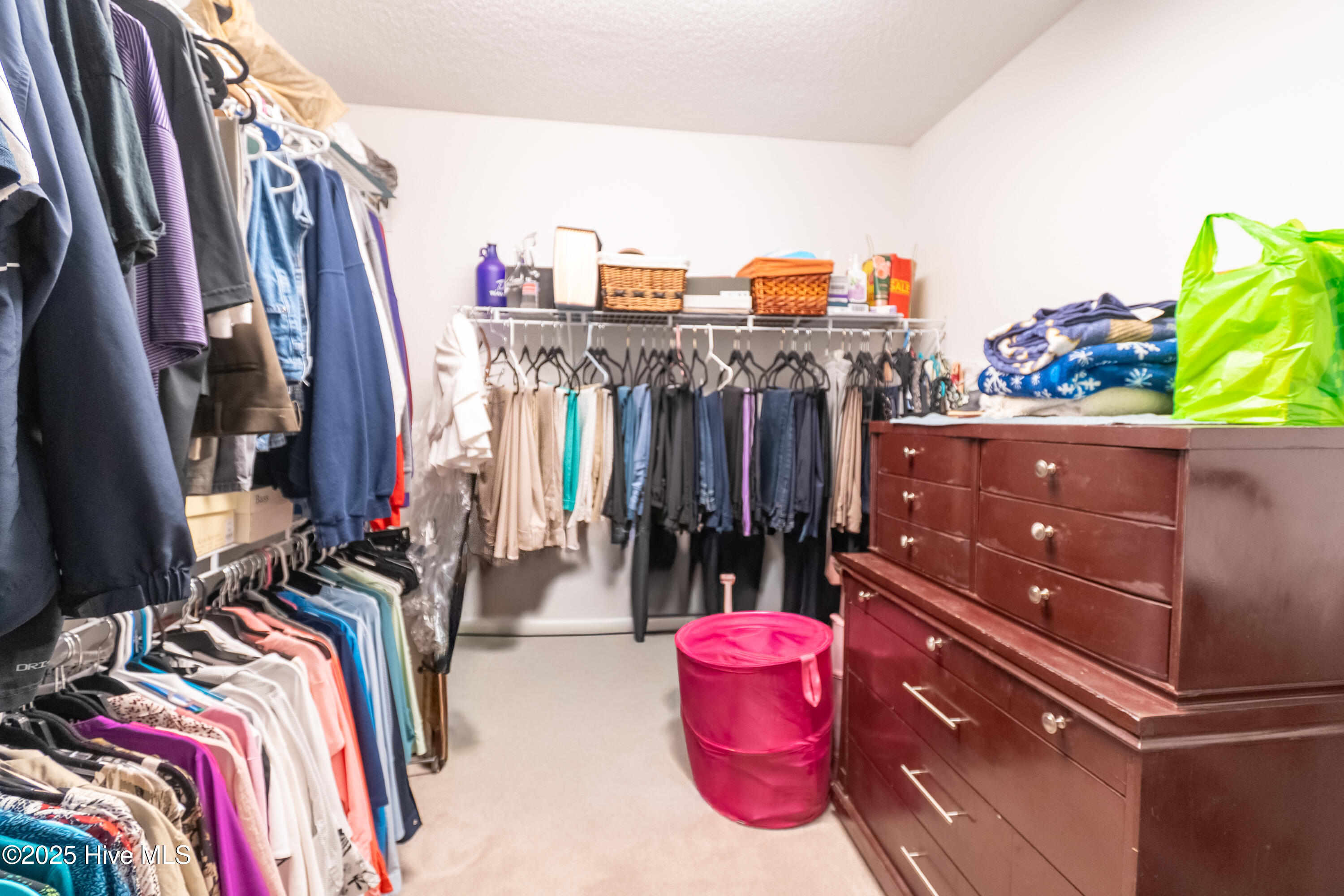 100531155 | Photo 23