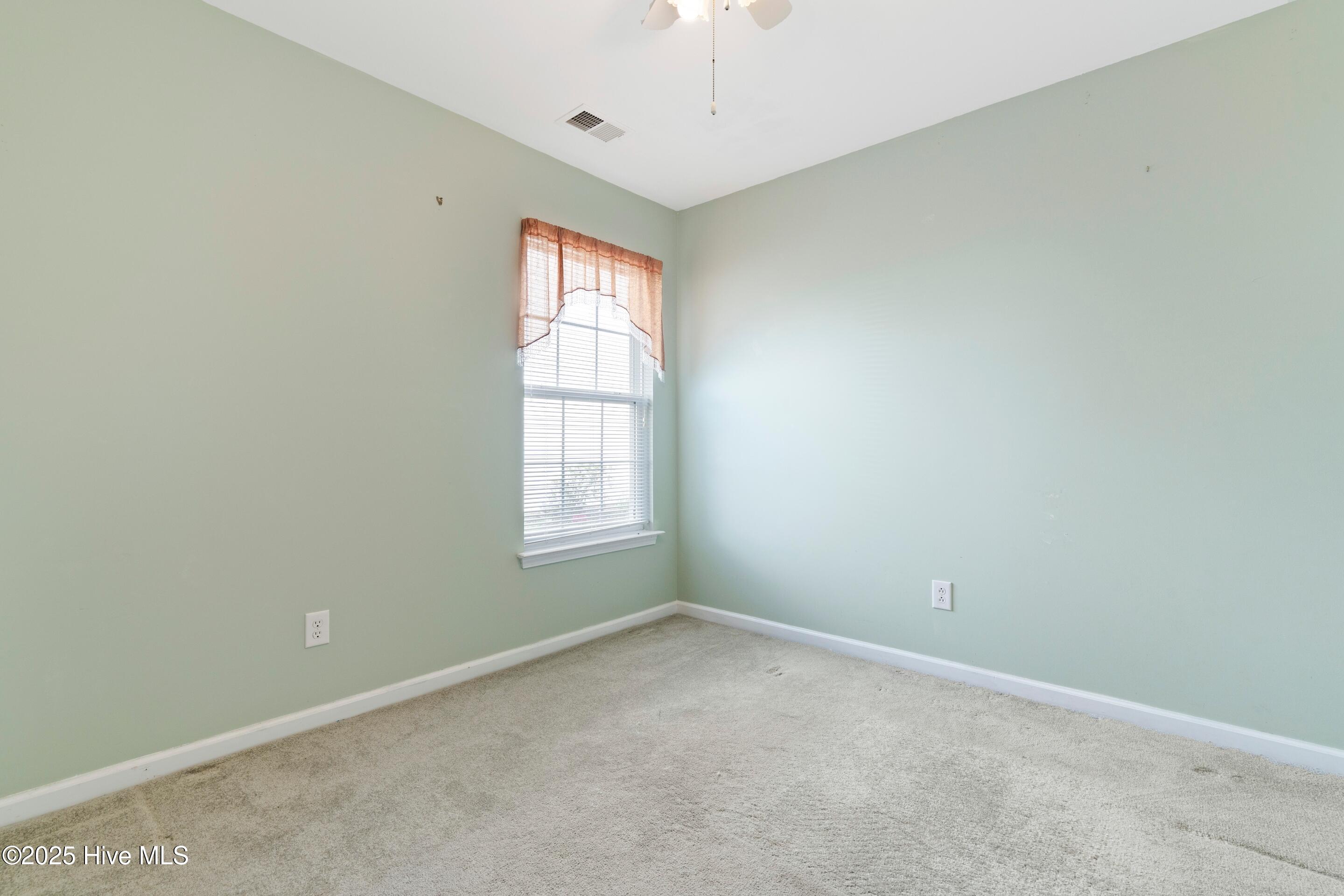 100509496 | Photo 16