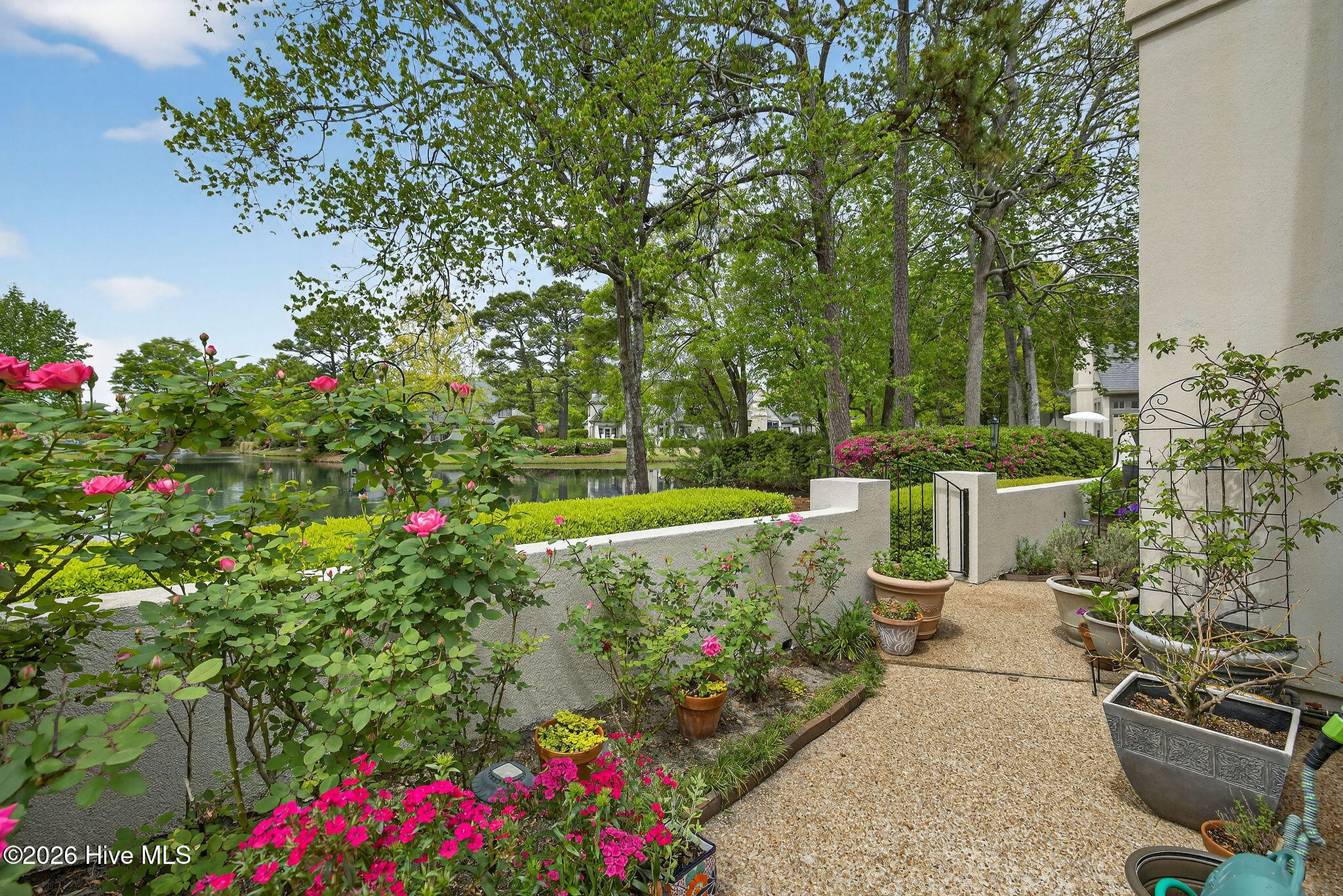 100565960 | Photo 10