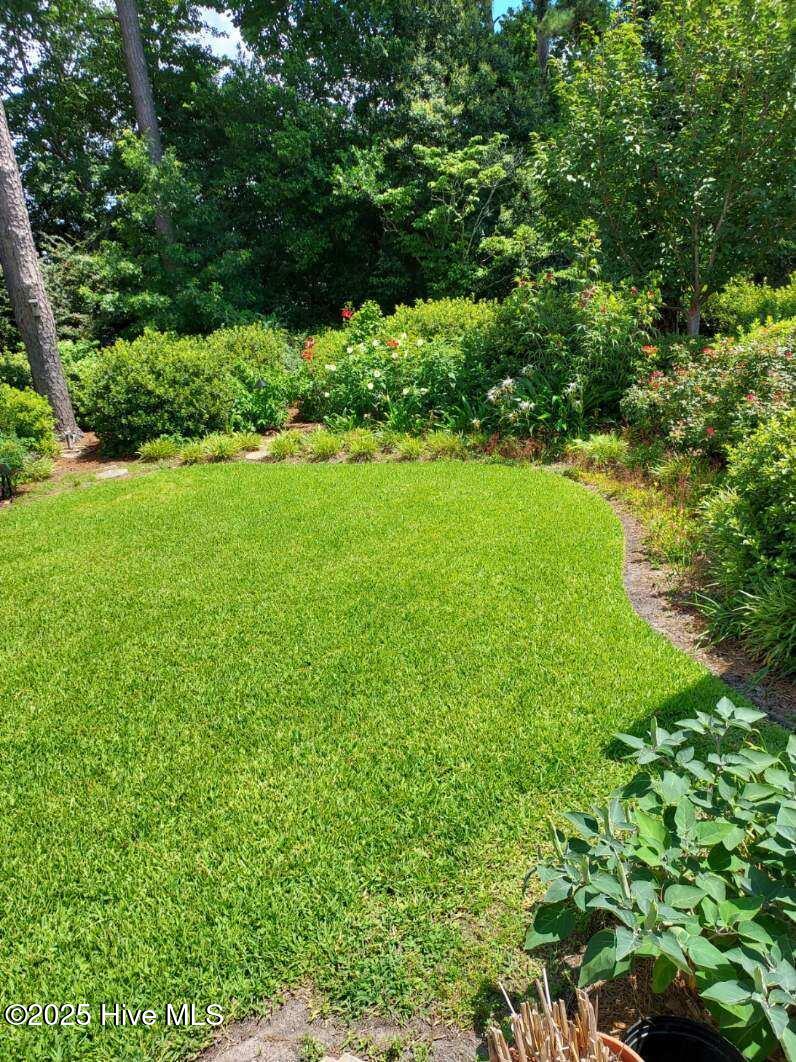 100537992 | Photo 49