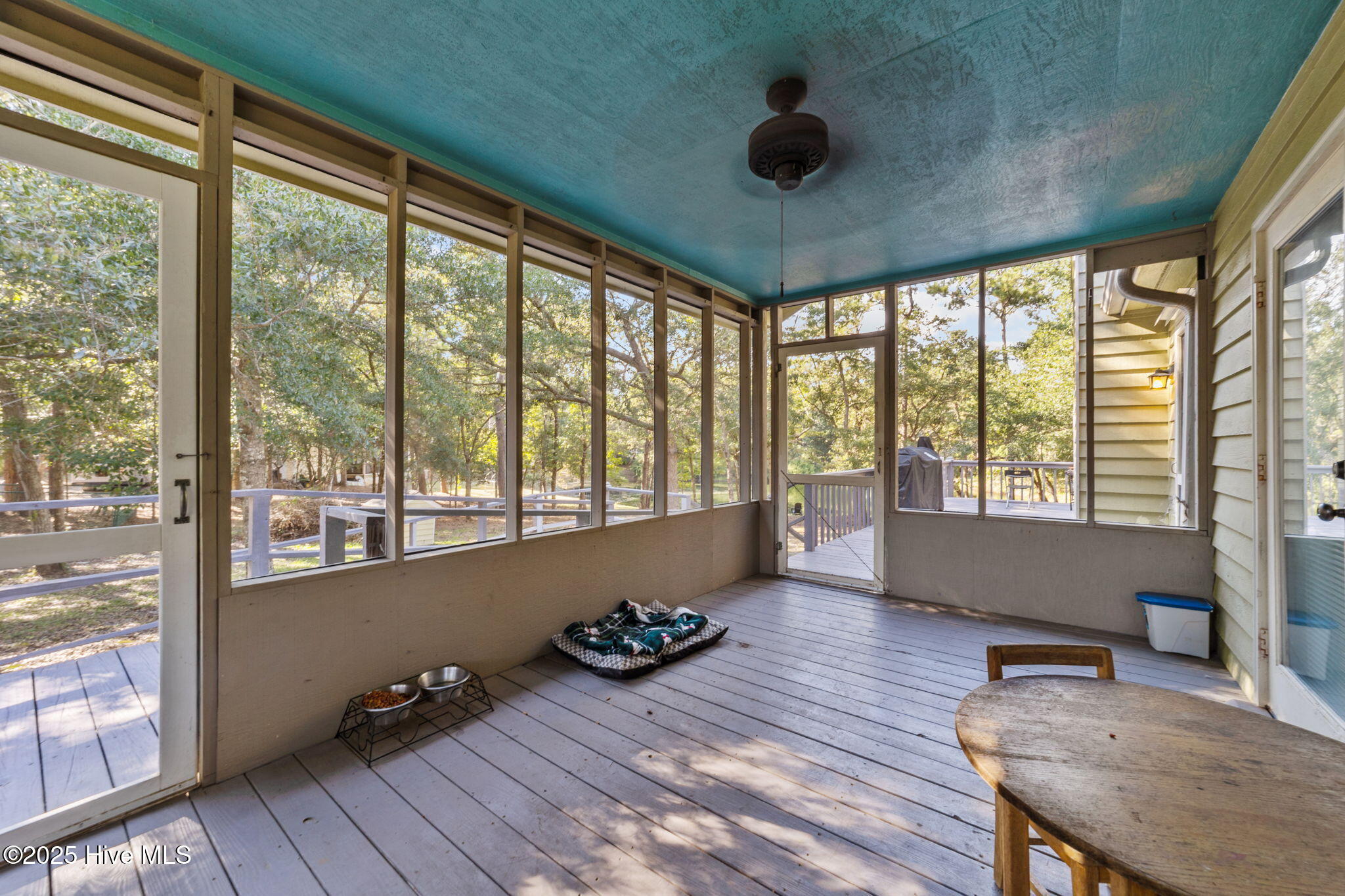 100533176 | Photo 19