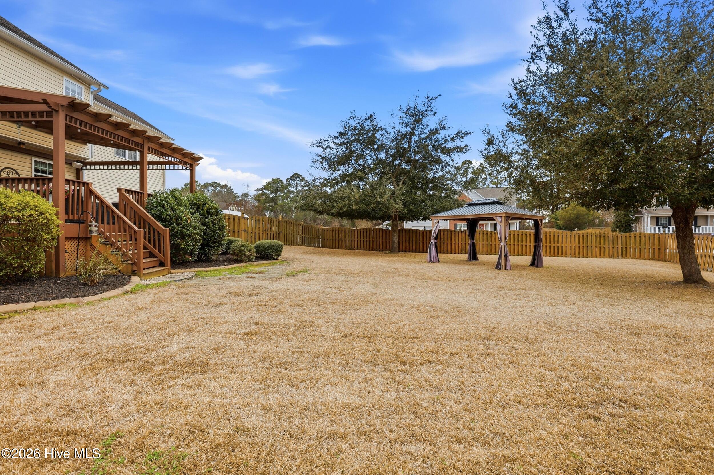 100558119 | Photo 44