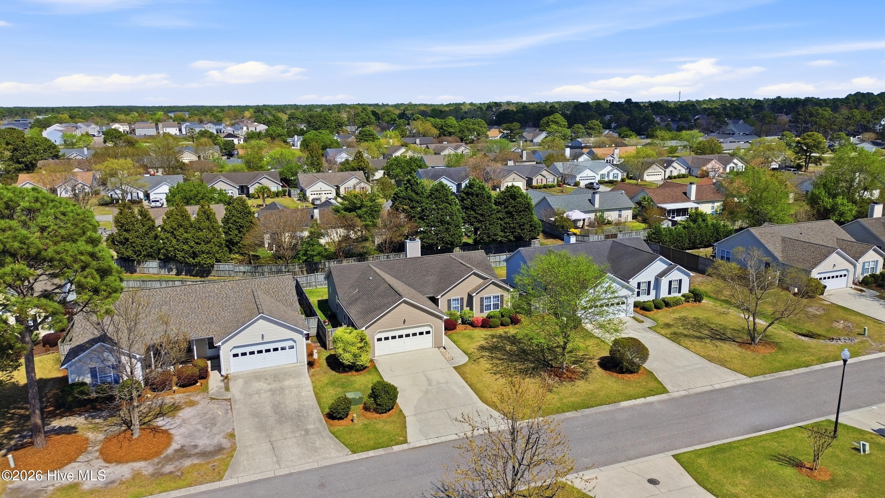 100564031 | Photo 37