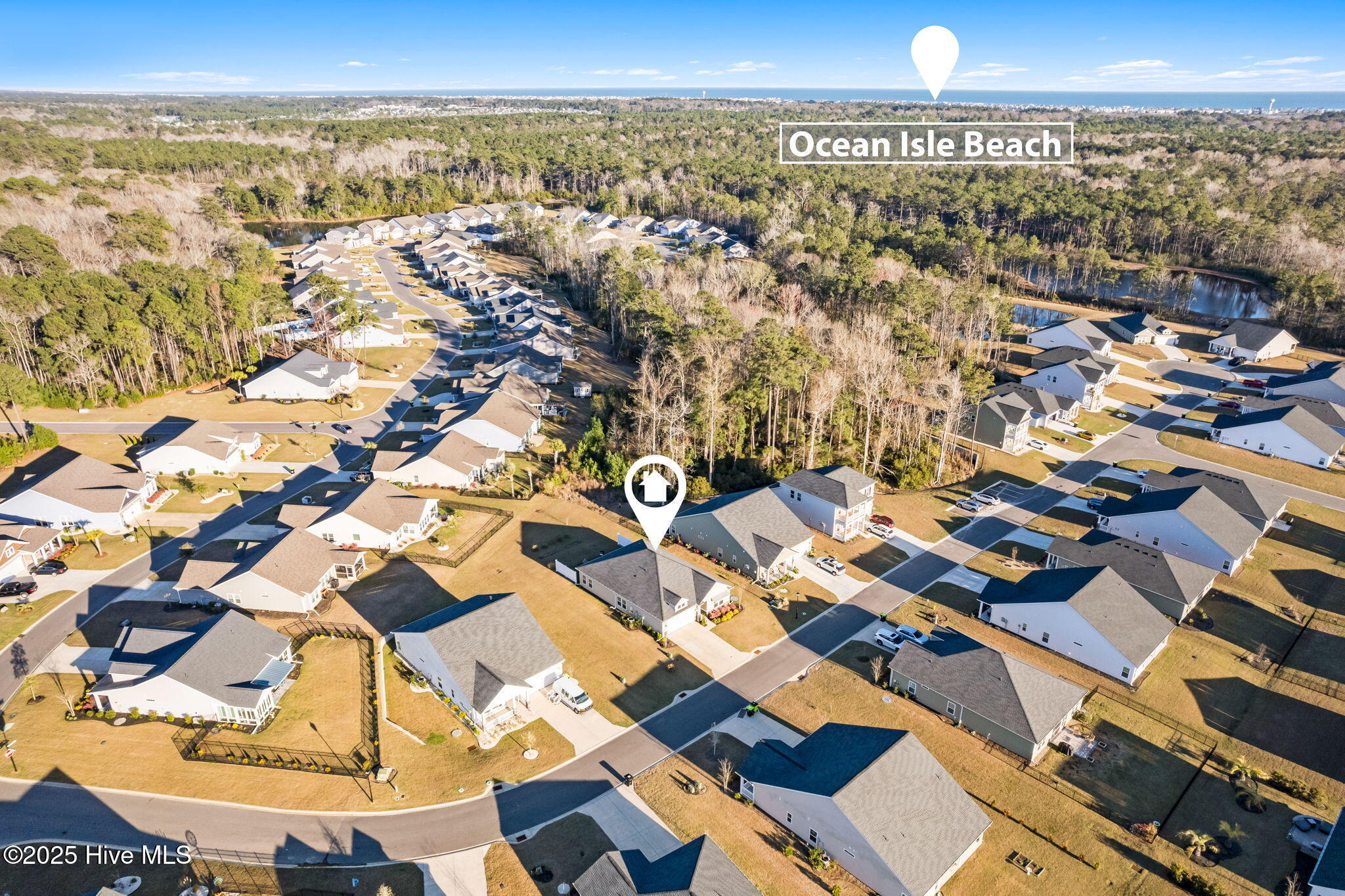 100495537 | Photo 38