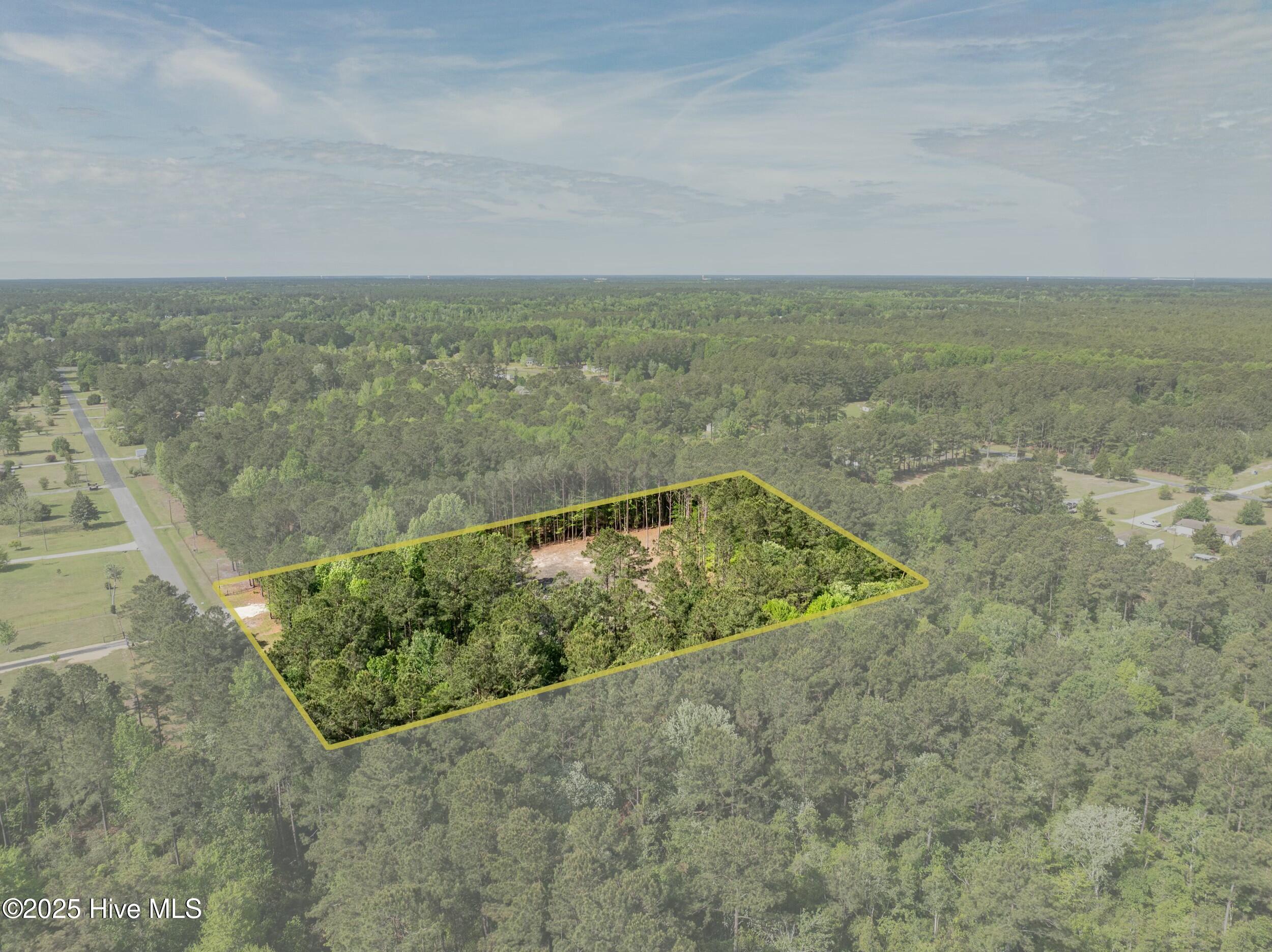 100503919 | Photo 10