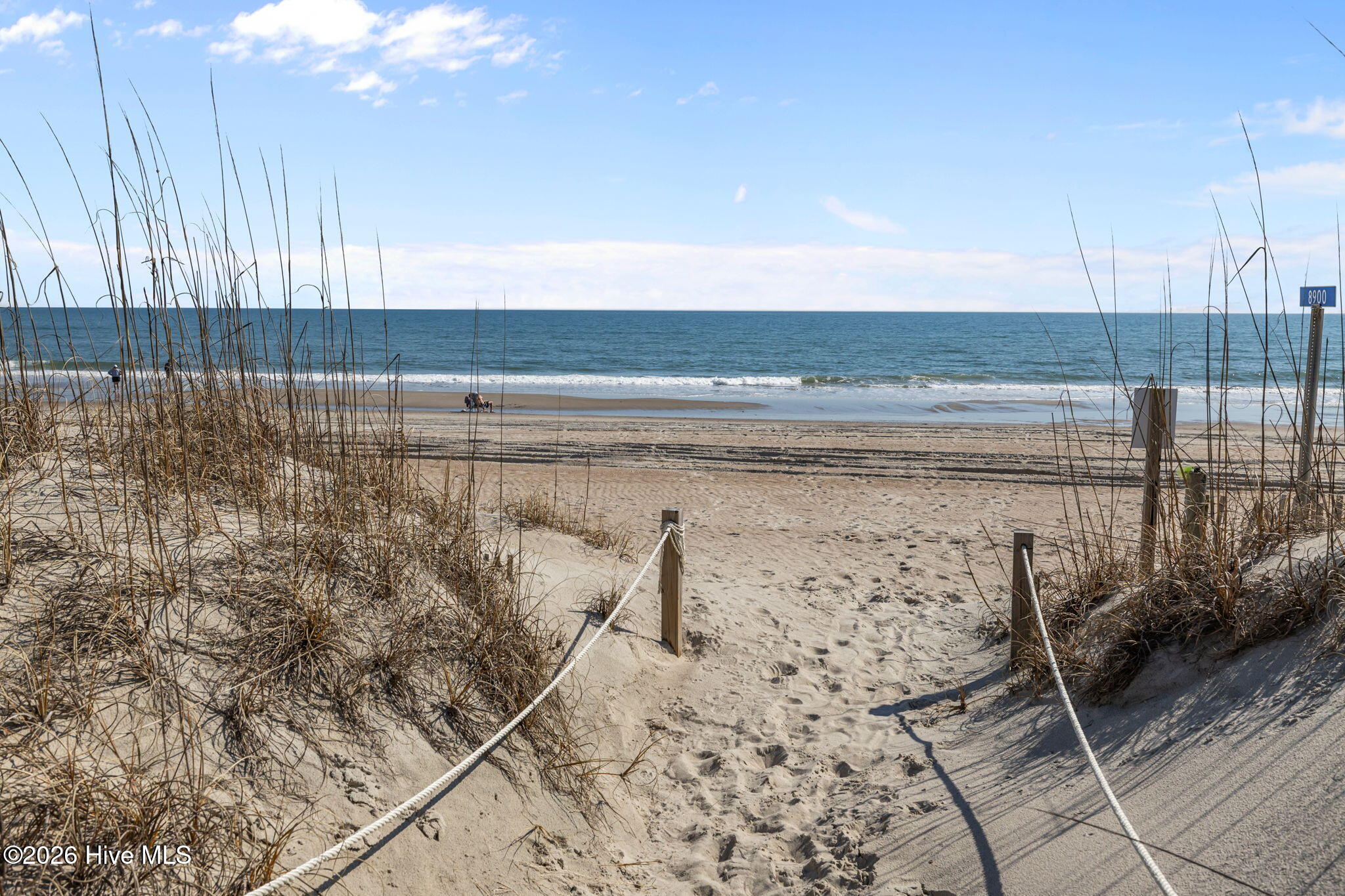 100557807 | Photo 35