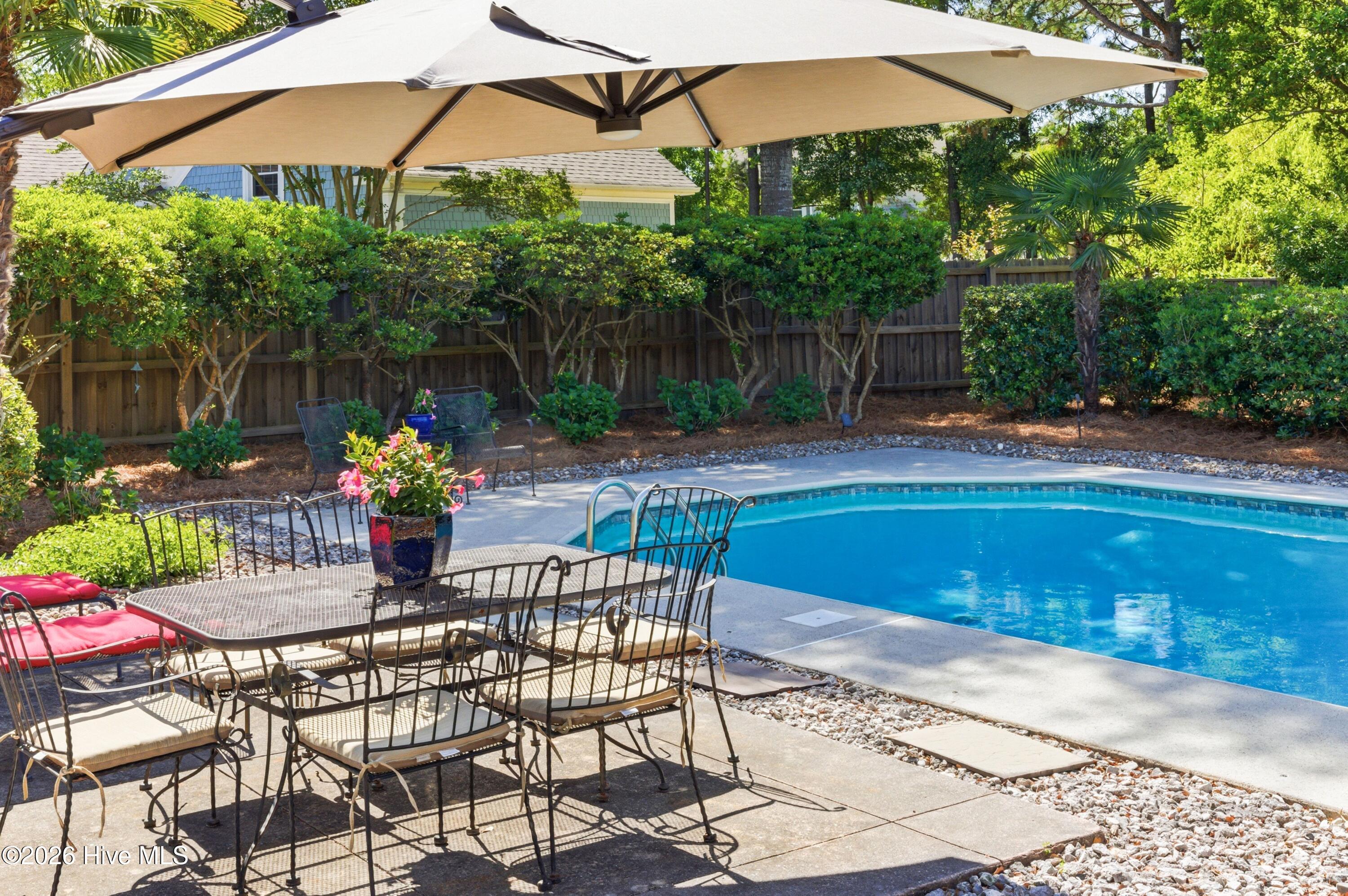 100568689 | Photo 24