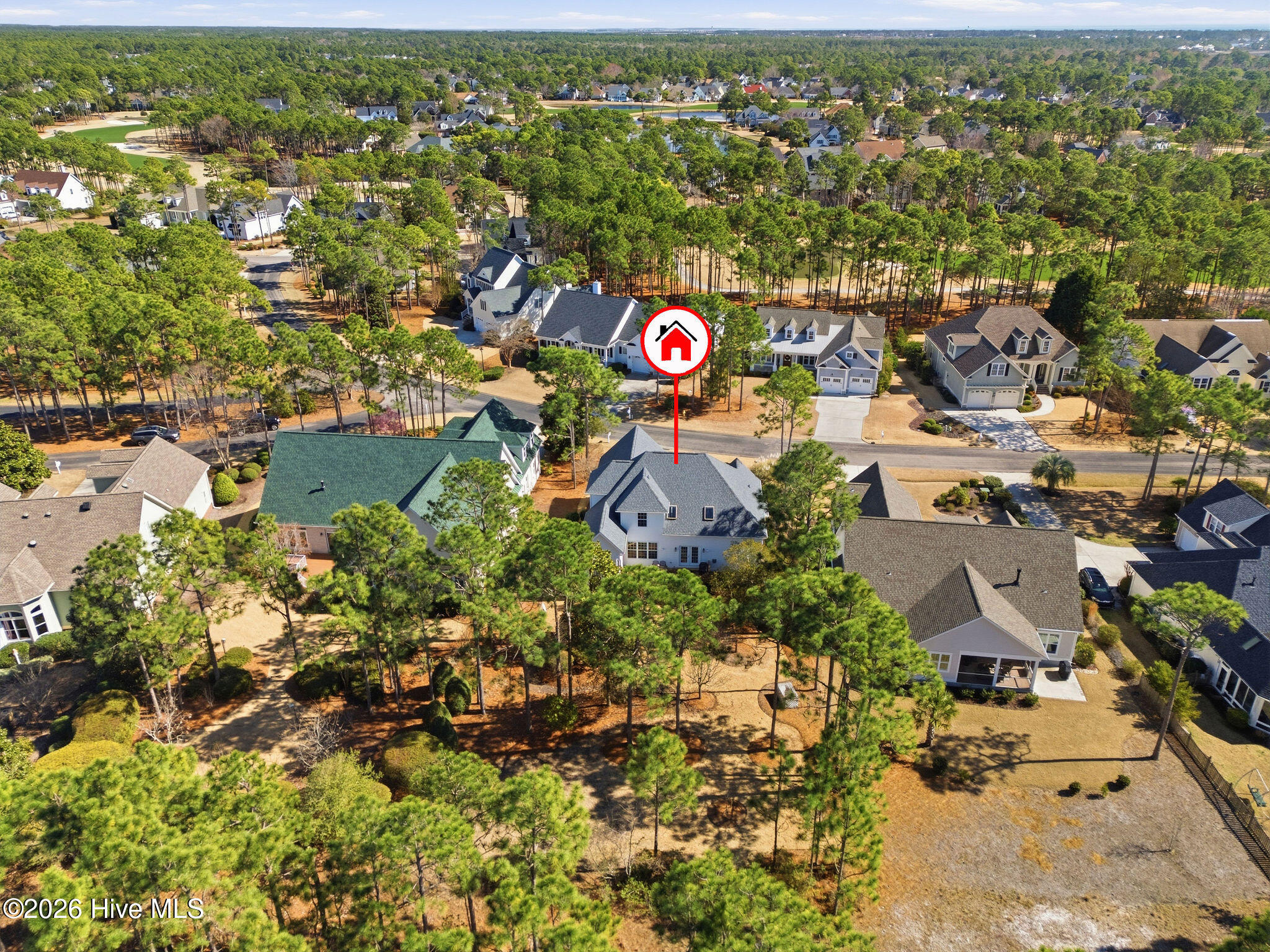 100558304 | Photo 62