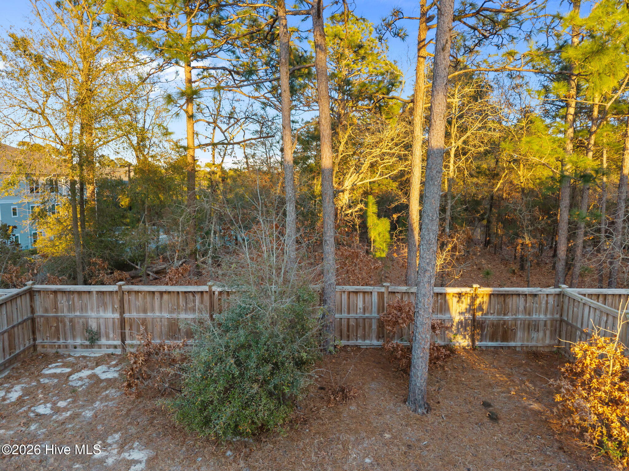 100548771 | Photo 40