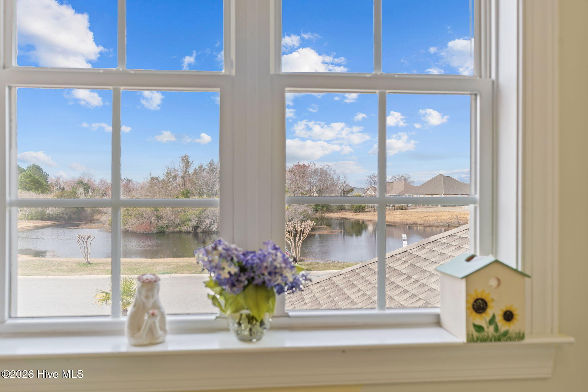 100556733 | Photo 19