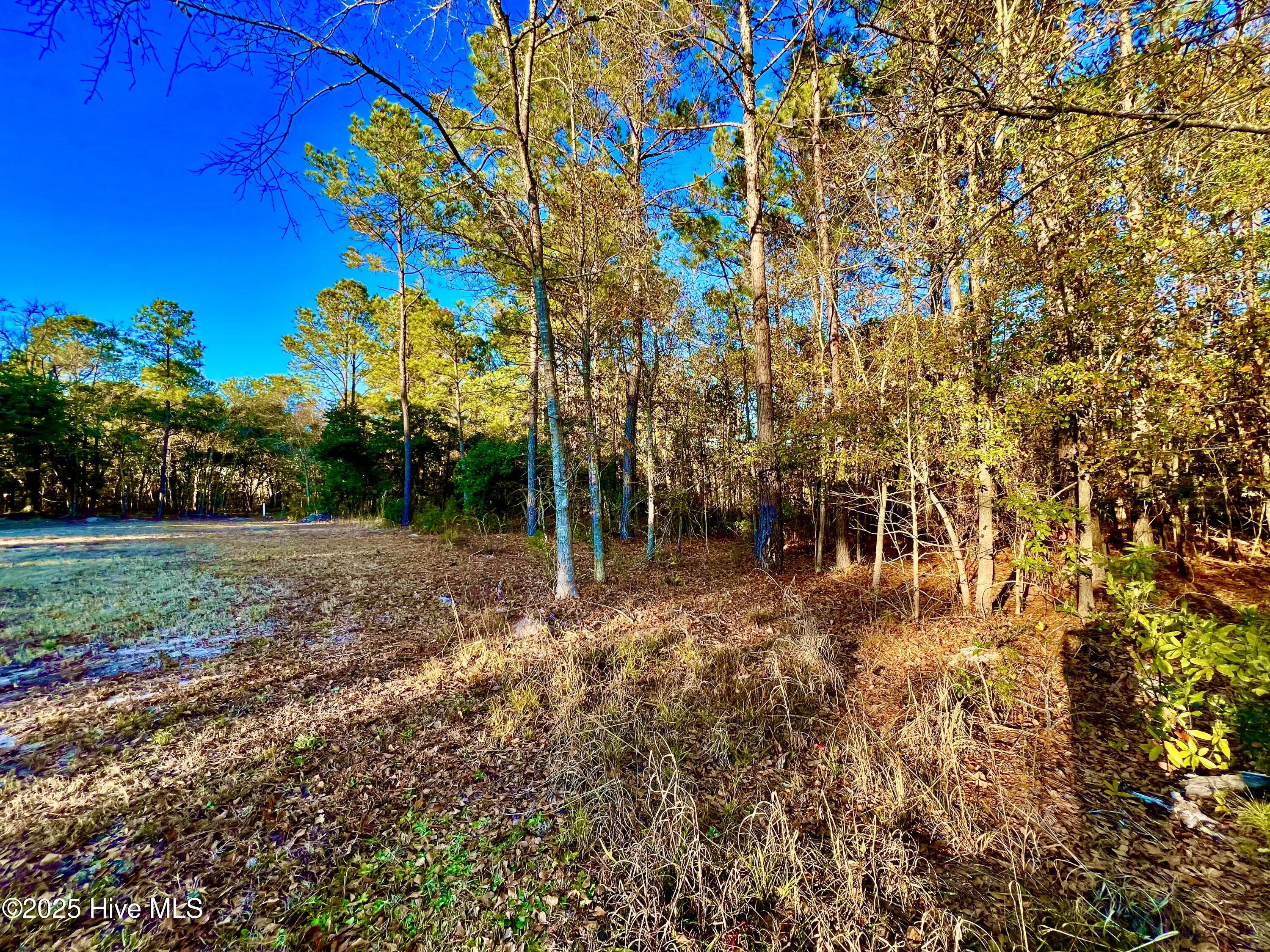 100536501 | Photo 14