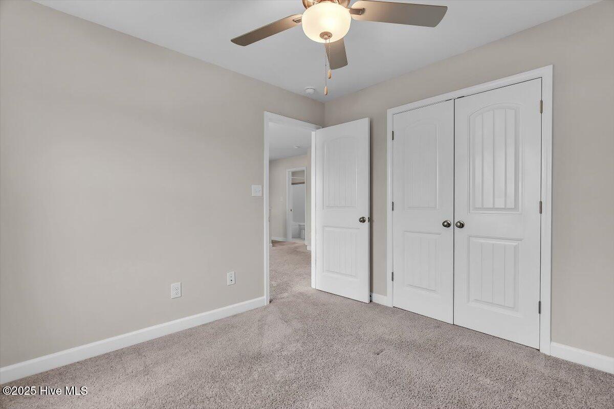 100537341 | Photo 35