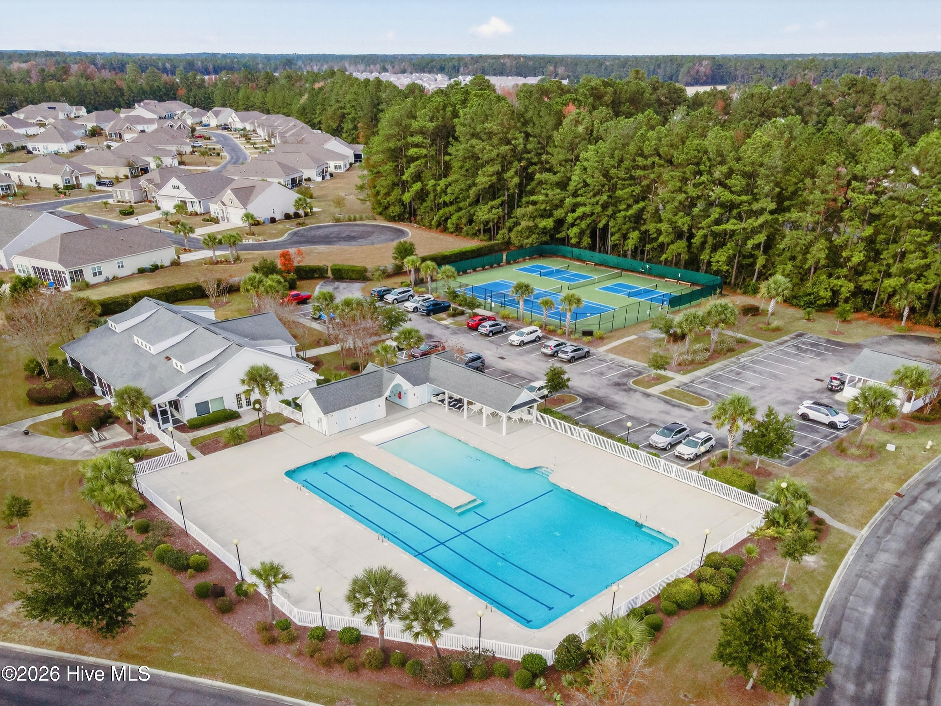 100557336 | Photo 46