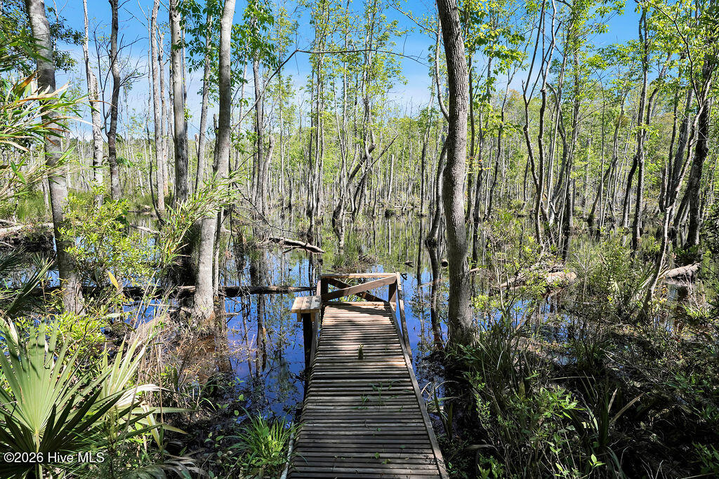 100569644 | Photo 36