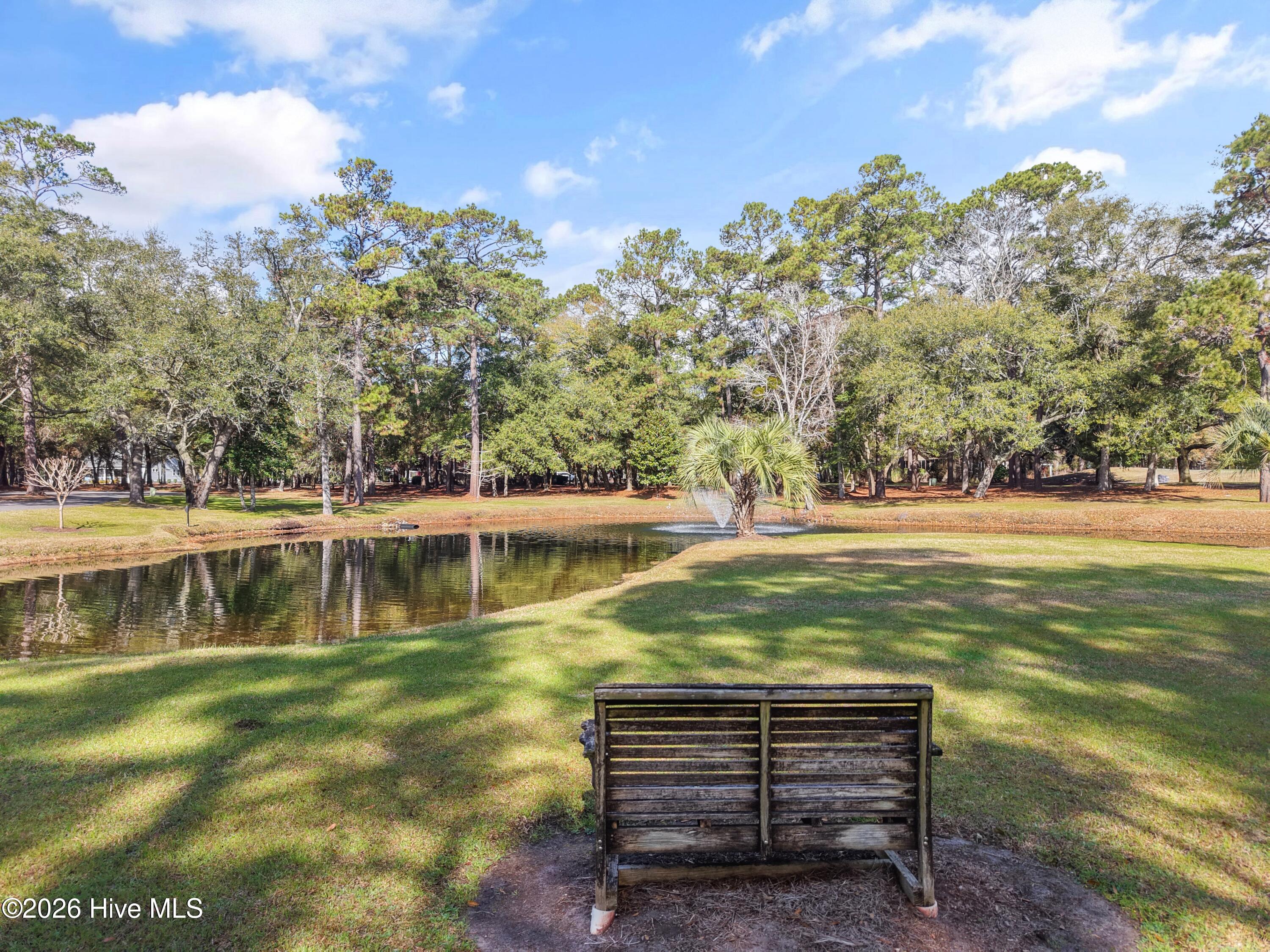 100558651 | Photo 49