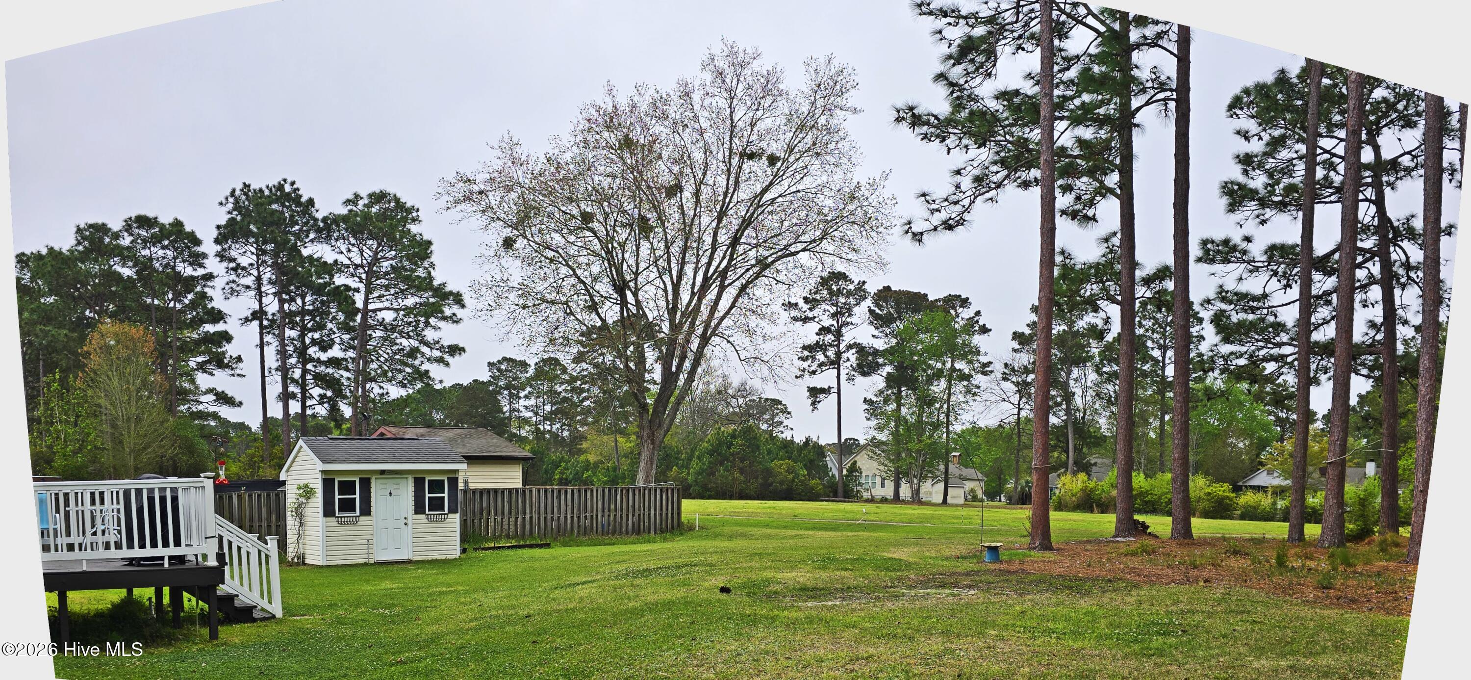 100565101 | Photo 20