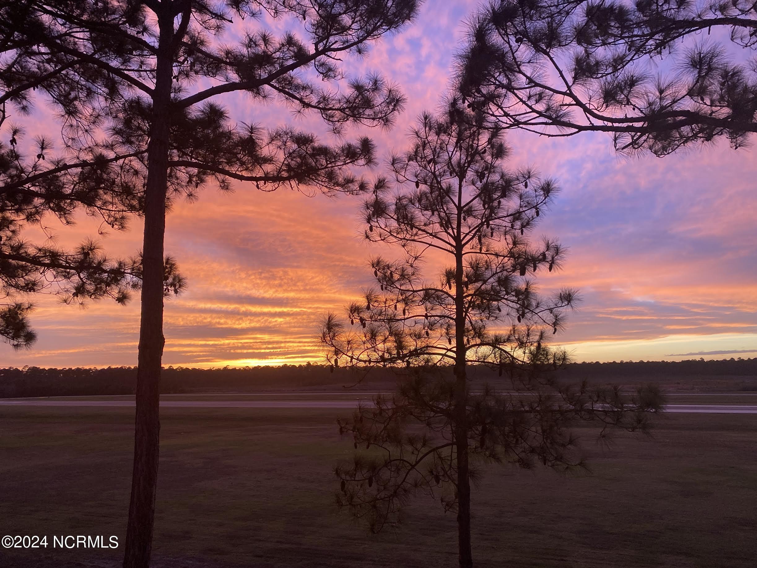 100489556 | Photo 49