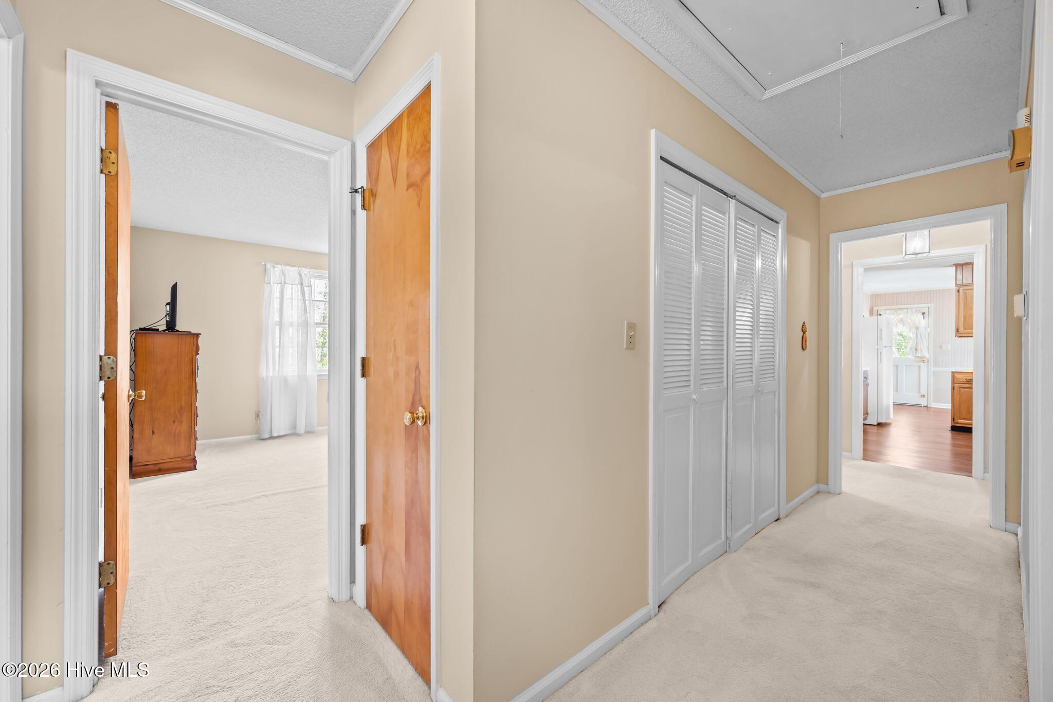 100555797 | Photo 36