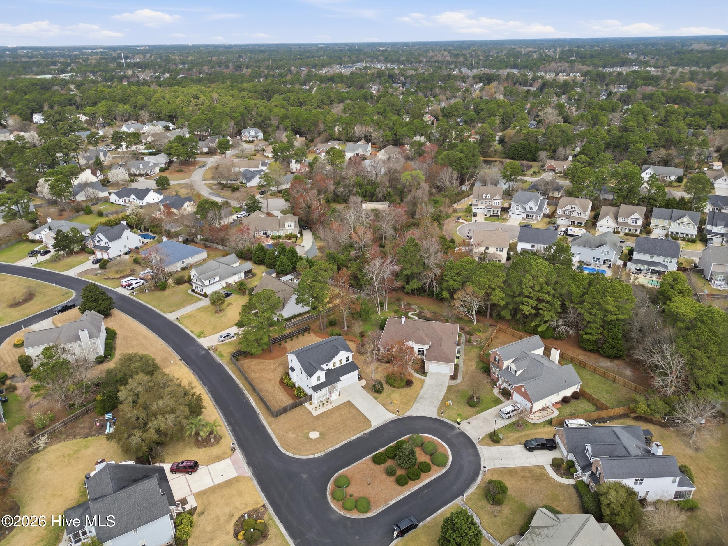 100559477 | Photo 48