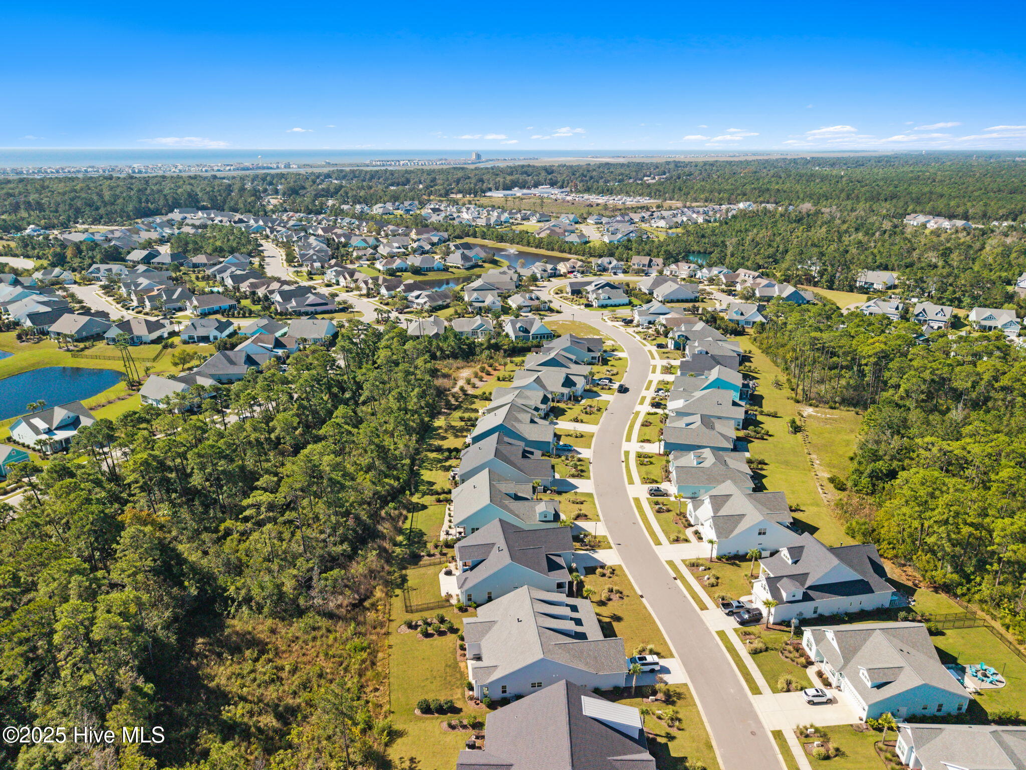 100534484 | Photo 70