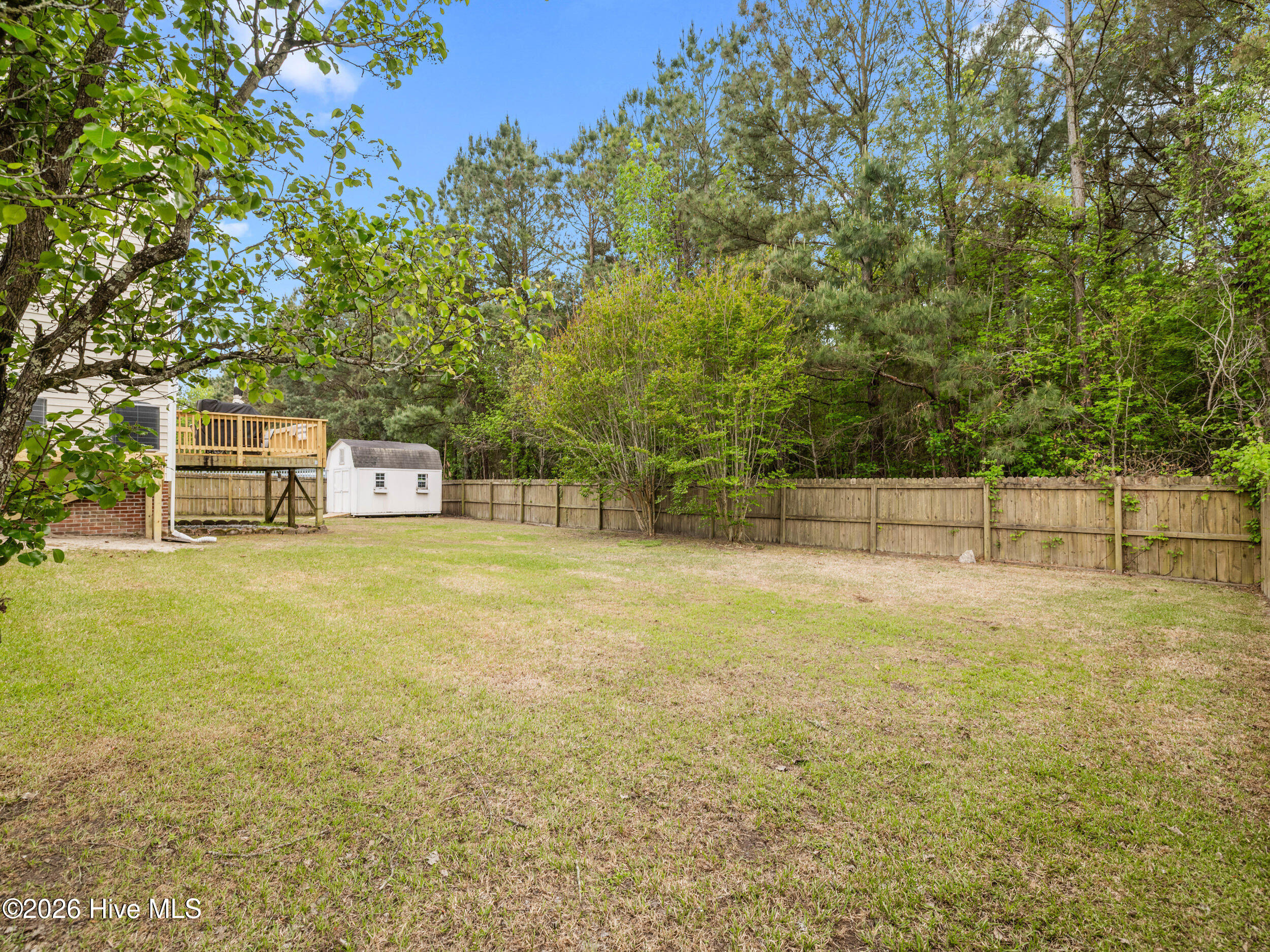 100566997 | Photo 49