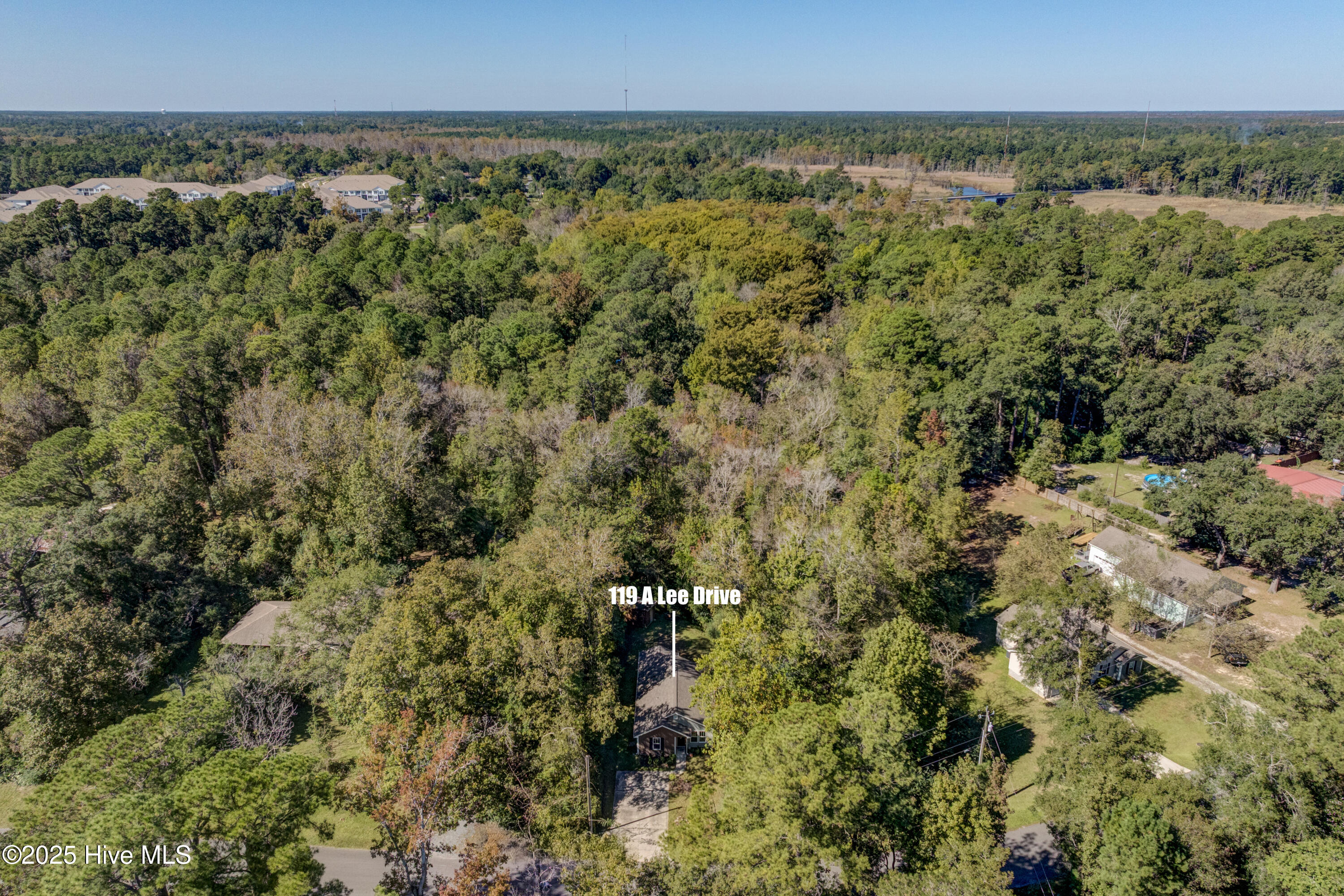 100554720 | Photo 24