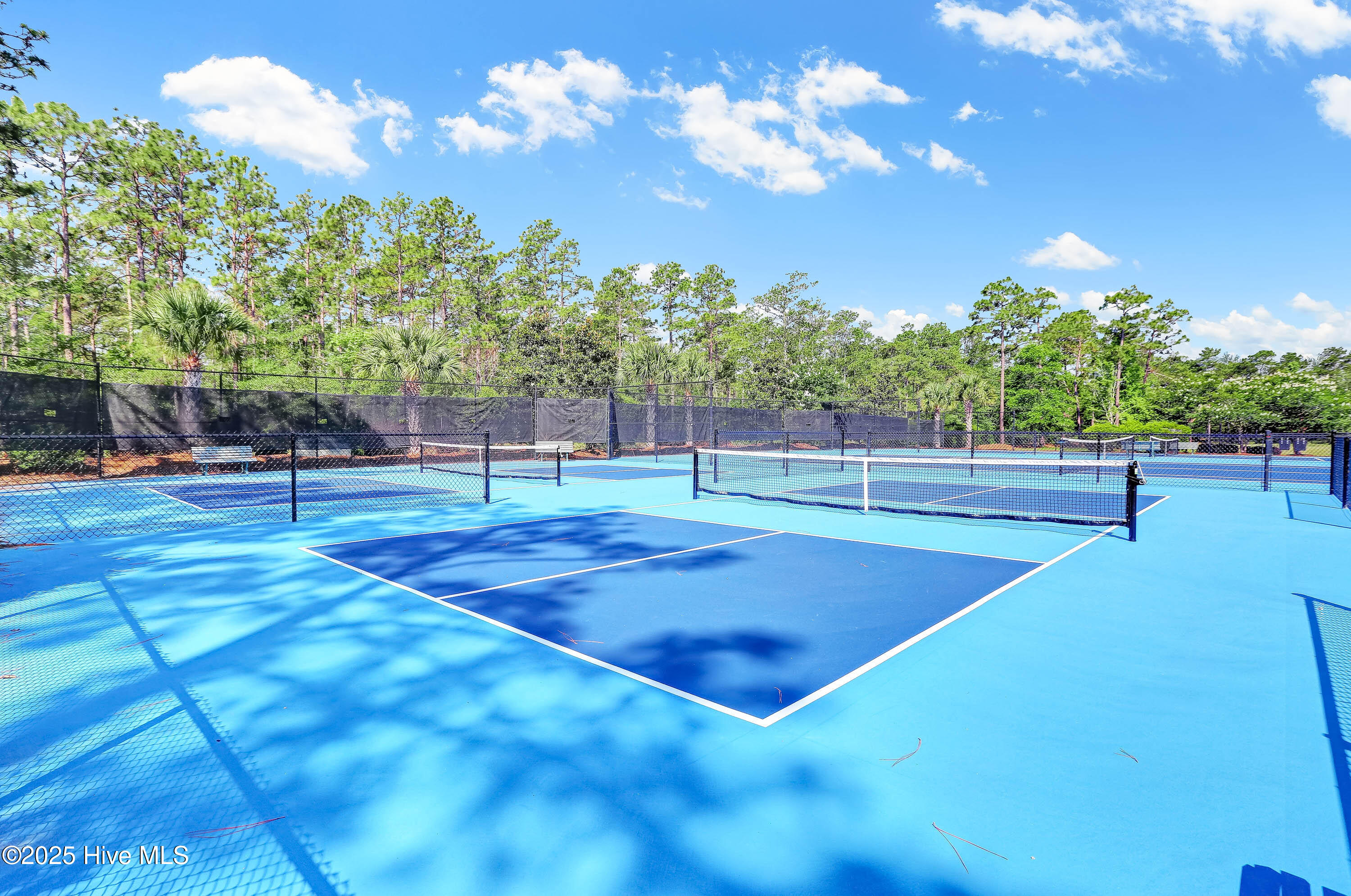 100498596 | Photo 31